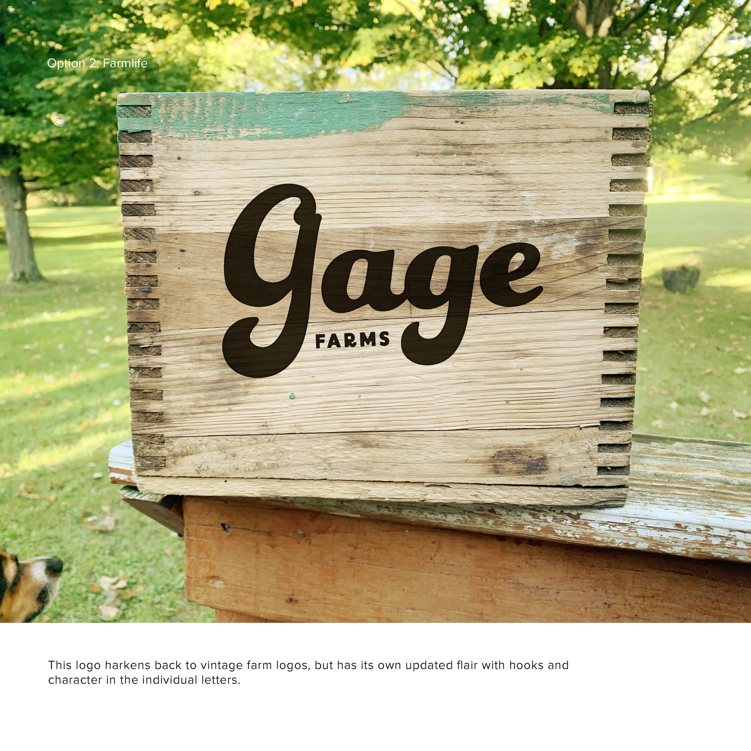 GageFarms_pres_v1_Page_04.png