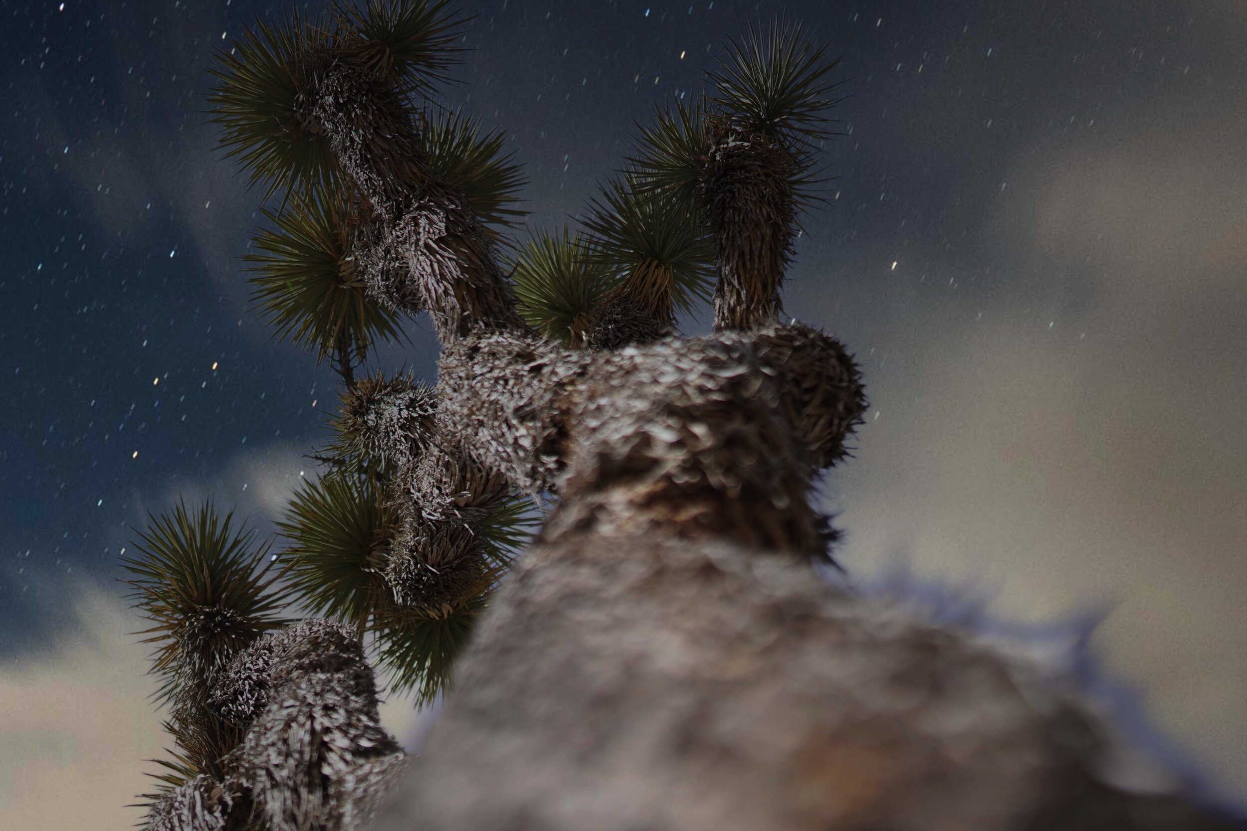 Image 12-16-20 at 8.58 AM.JPG