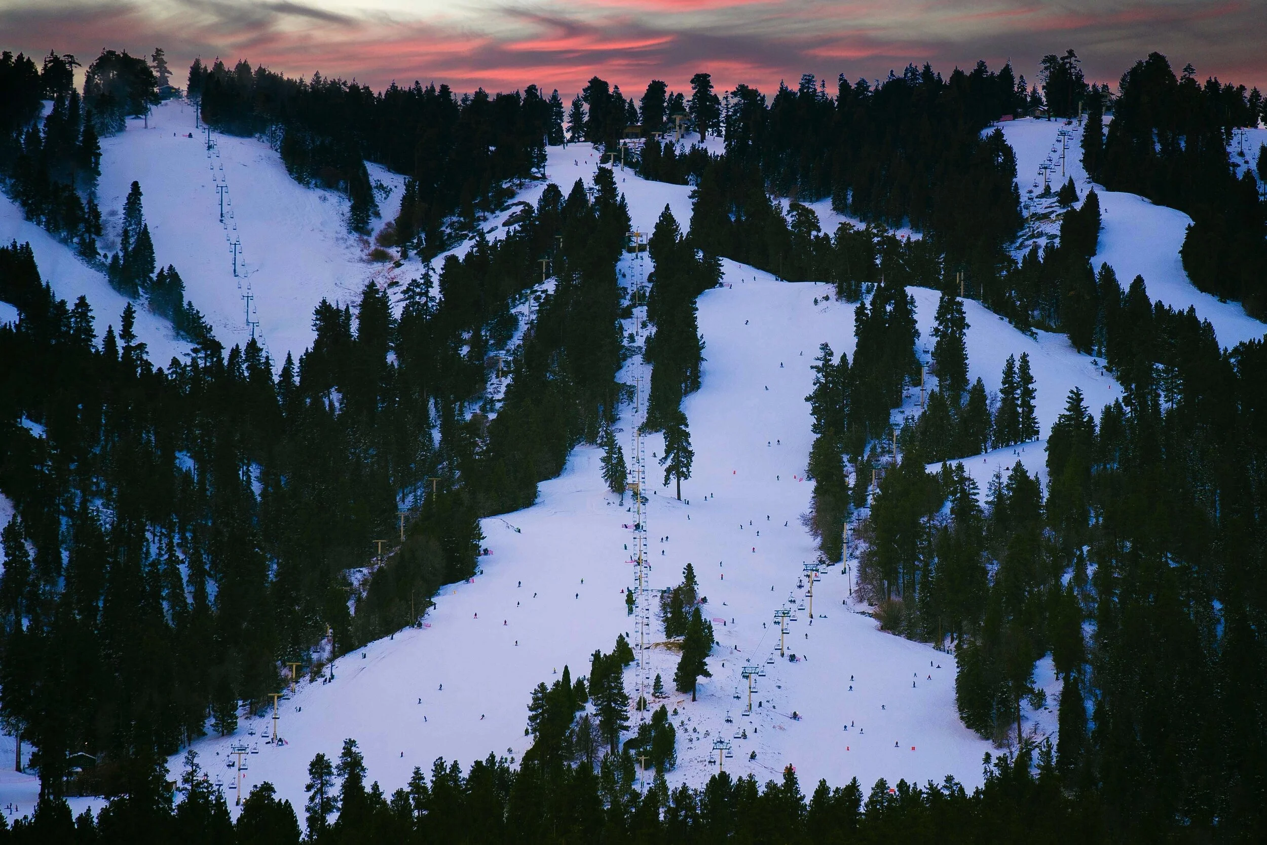 Image 1-3-21 at 10.39 AM.JPG