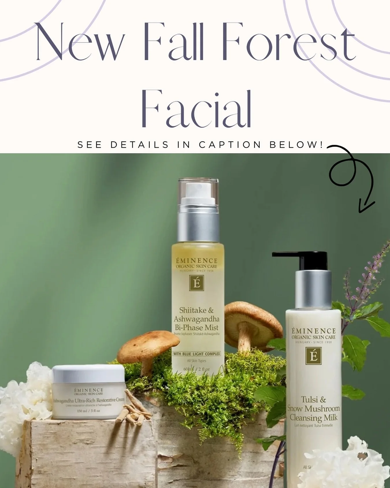 ✨ We&rsquo;re so excited to introduce our Fall Forest Facial 🍂🌲 Eminence just added 3 incredible products to their Pure Forest Collection &mdash; and they are to die for!

This 60-minute ritual ($160) combines the newest formulas with the beloved B