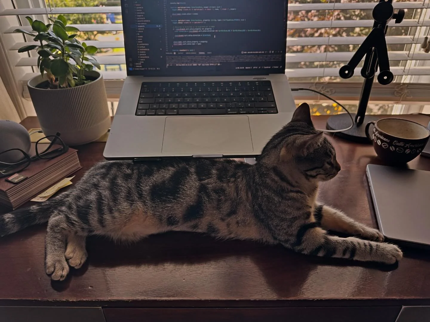 Impossible d&rsquo;utiliser une souris!