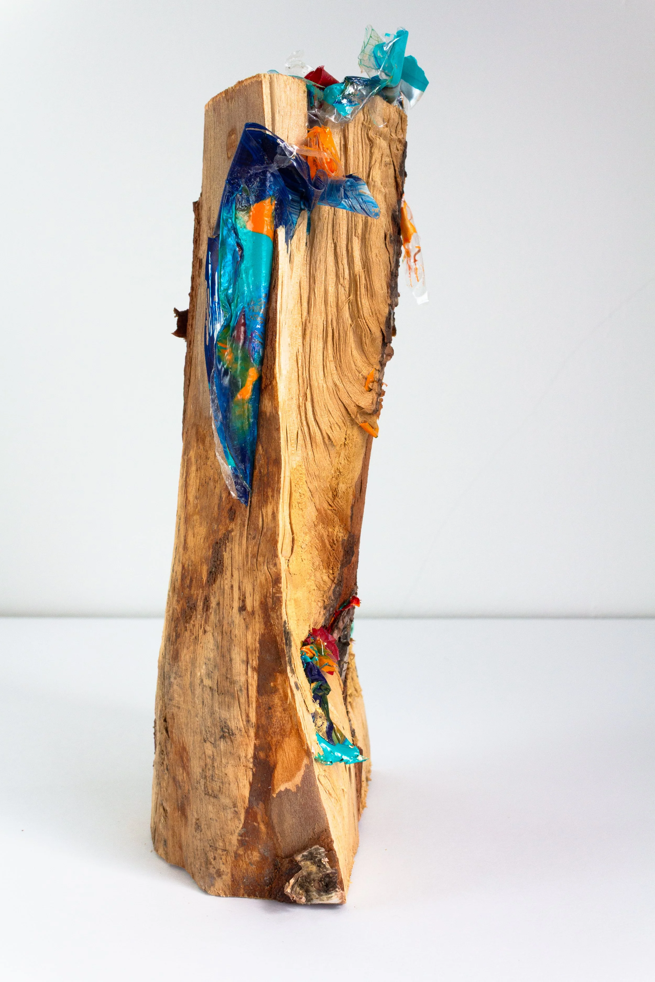 Redemption III: Acceptance

Dried wood log with acrylic paint and mediums (plastic waste)
Dimensions – 27 x 13 x 10 (approx.)