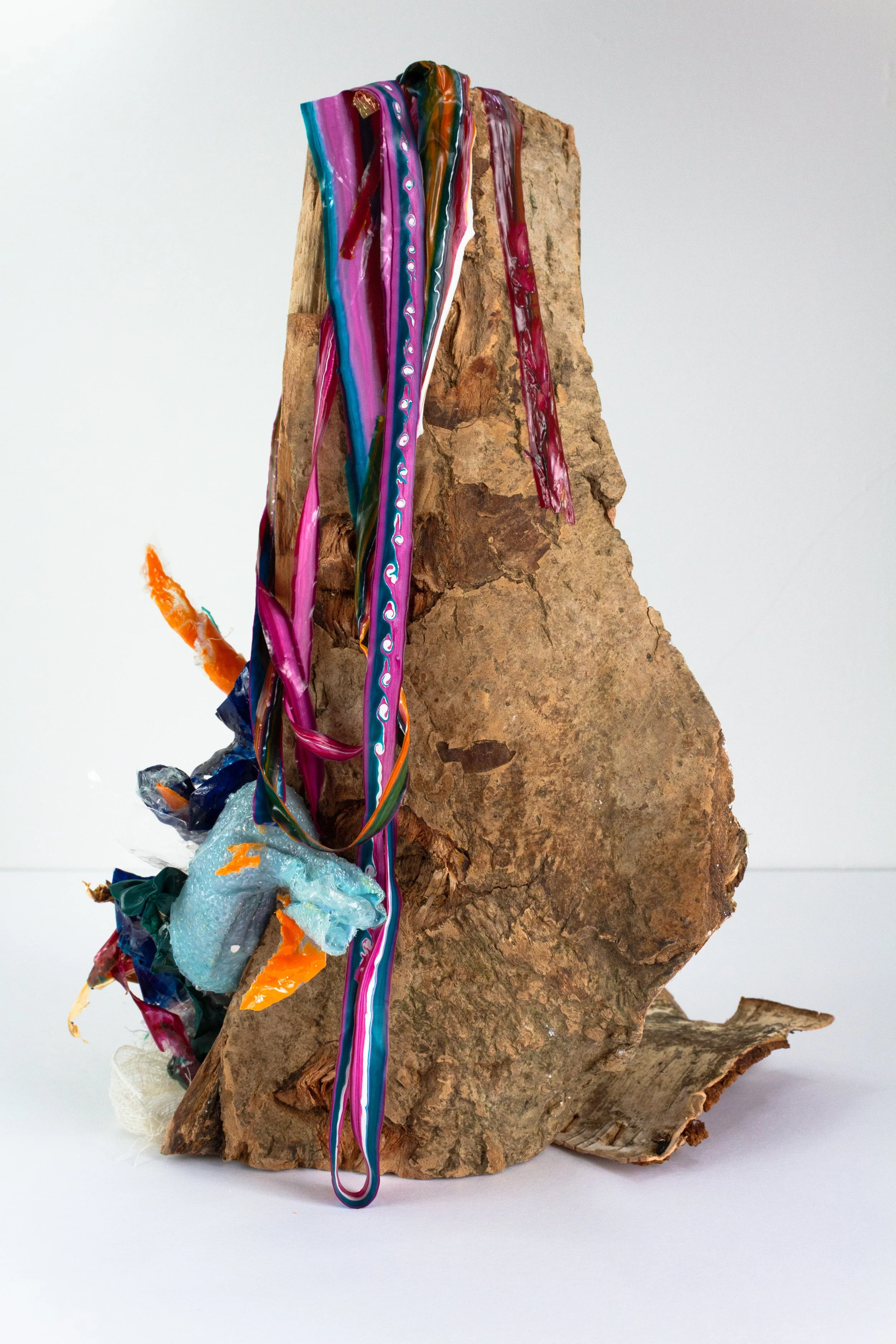 Redemption II: Authority

Dried wood log with acrylic paint and mediums (plastic waste)
29 x 16 x 21 cm (approx.)