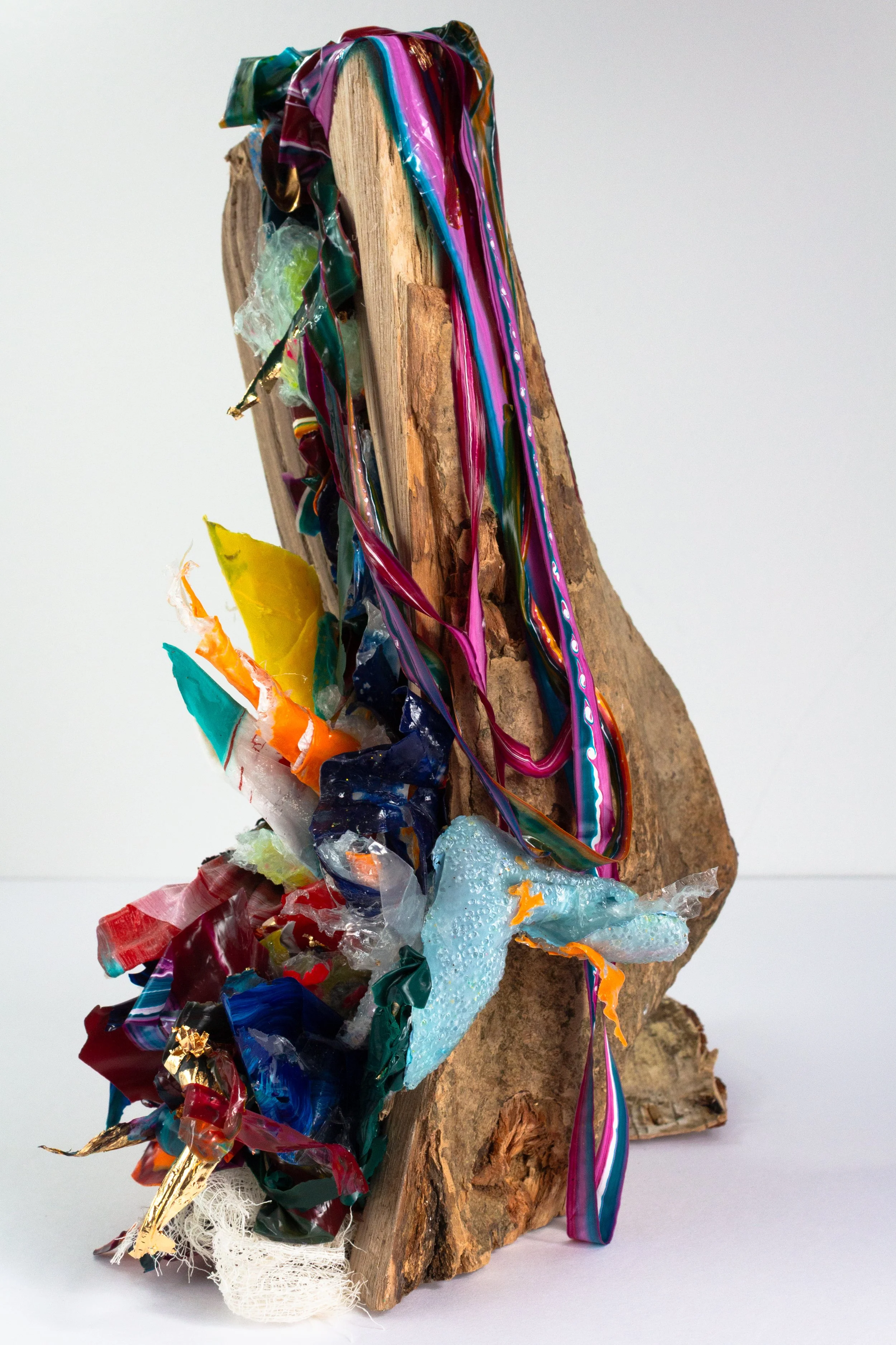 Redemption II: Authority

Dried wood log with acrylic paint and mediums (plastic waste)
29 x 16 x 21 cm (approx.)