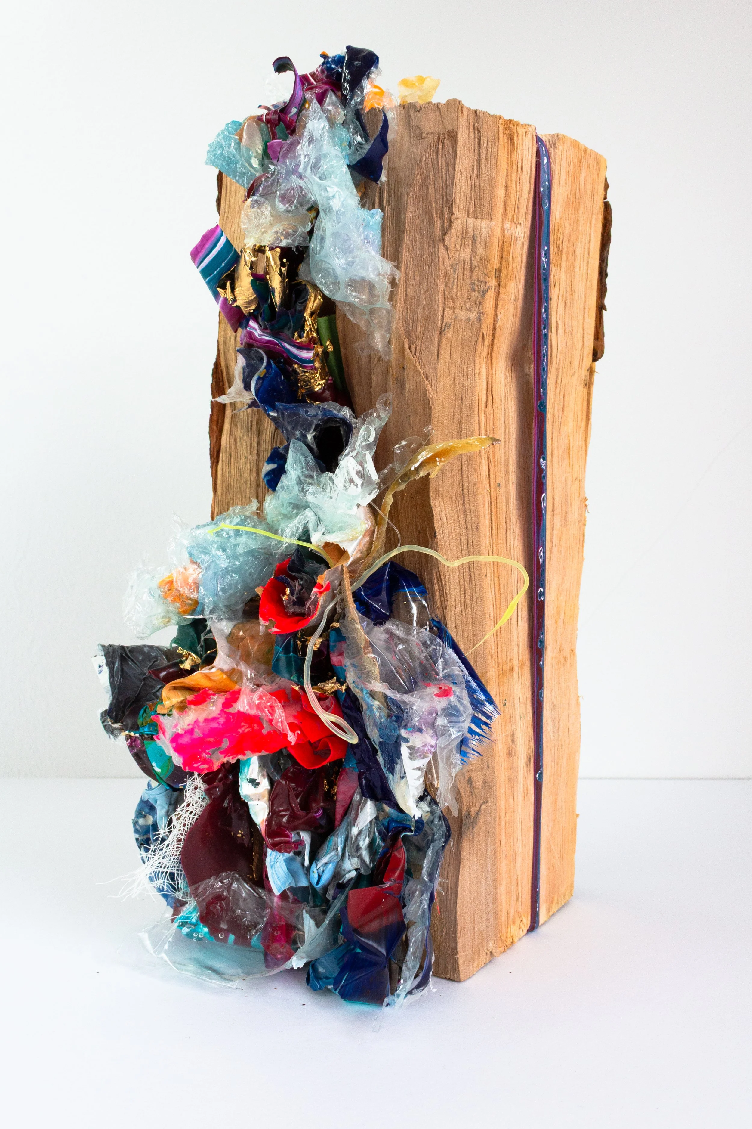 Redemption I: Annihilation 

 Dried wood log with acrylic paint and mediums (plastic waste)
25 x 16 x 15 cm (approx.)
