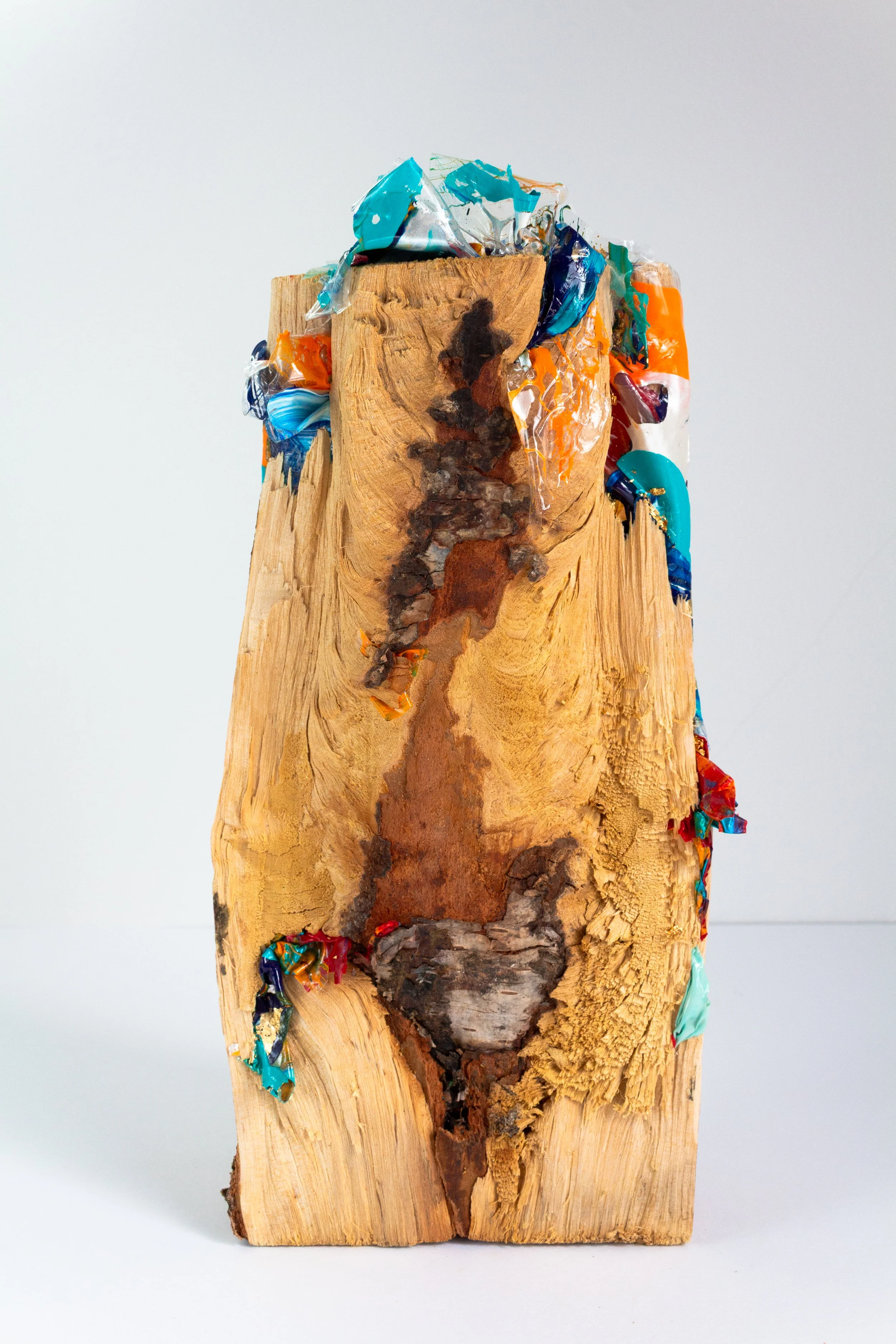 Redemption III: Acceptance

Dried wood log with acrylic paint and mediums (plastic waste)
Dimensions – 27 x 13 x 10 (approx.)
