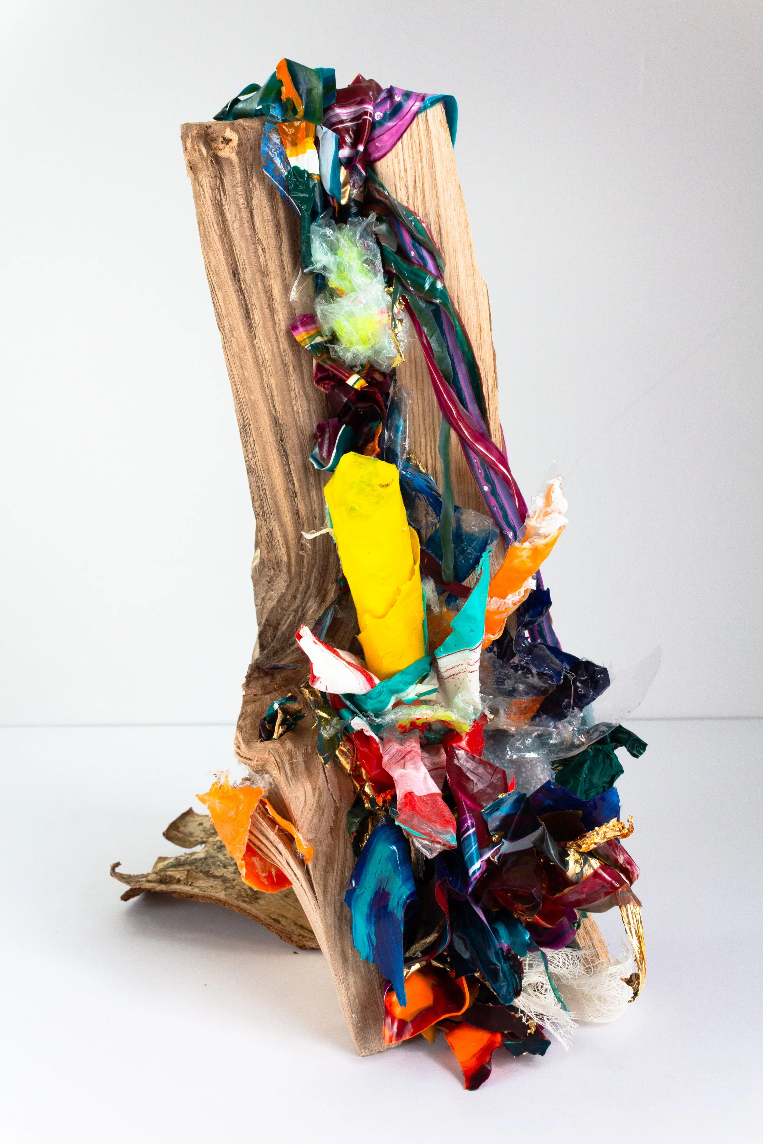 Redemption II: Authority

Dried wood log with acrylic paint and mediums (plastic waste)
29 x 16 x 21 cm (approx.)