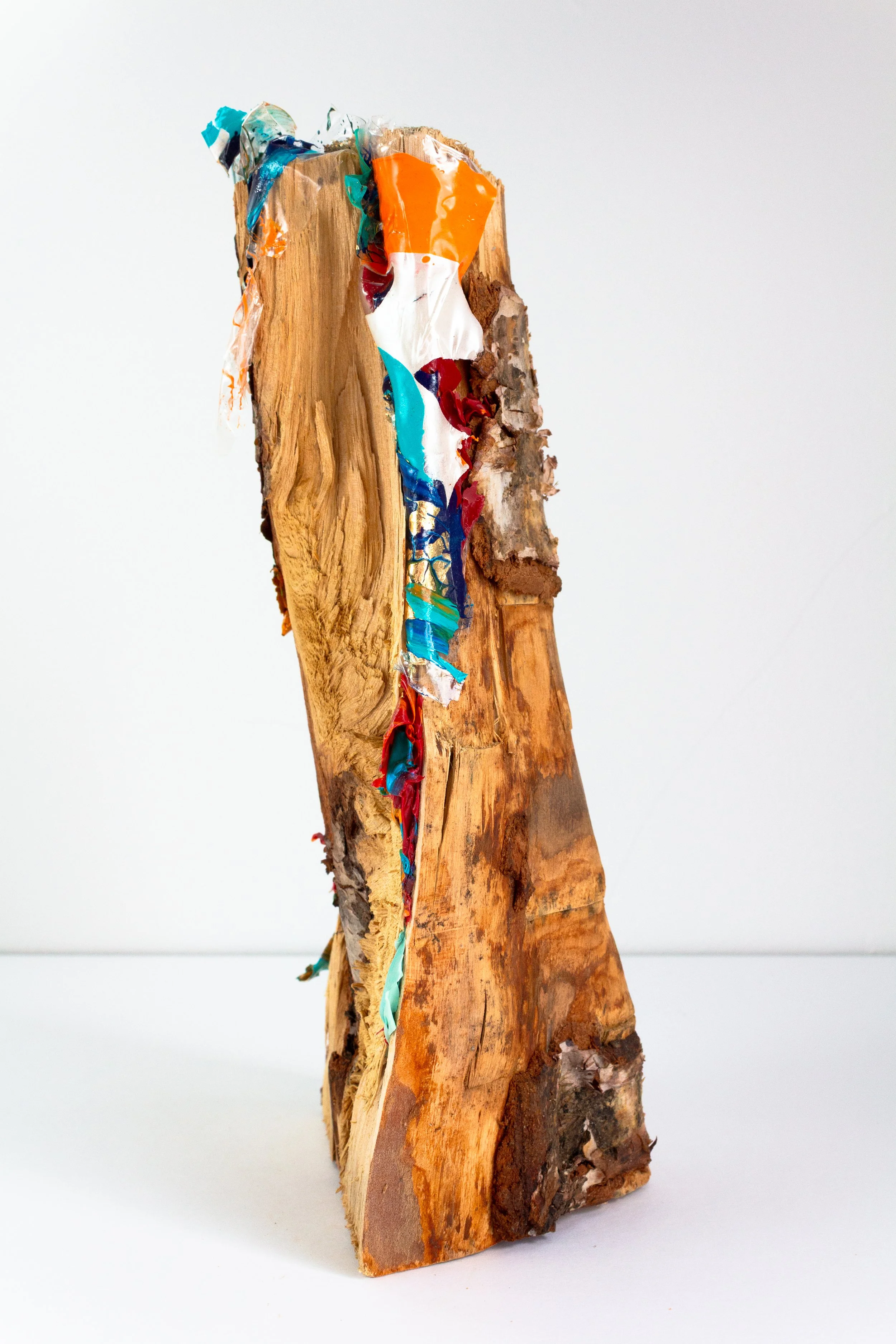 Redemption III: Acceptance

Dried wood log with acrylic paint and mediums (plastic waste)
Dimensions – 27 x 13 x 10 (approx.)