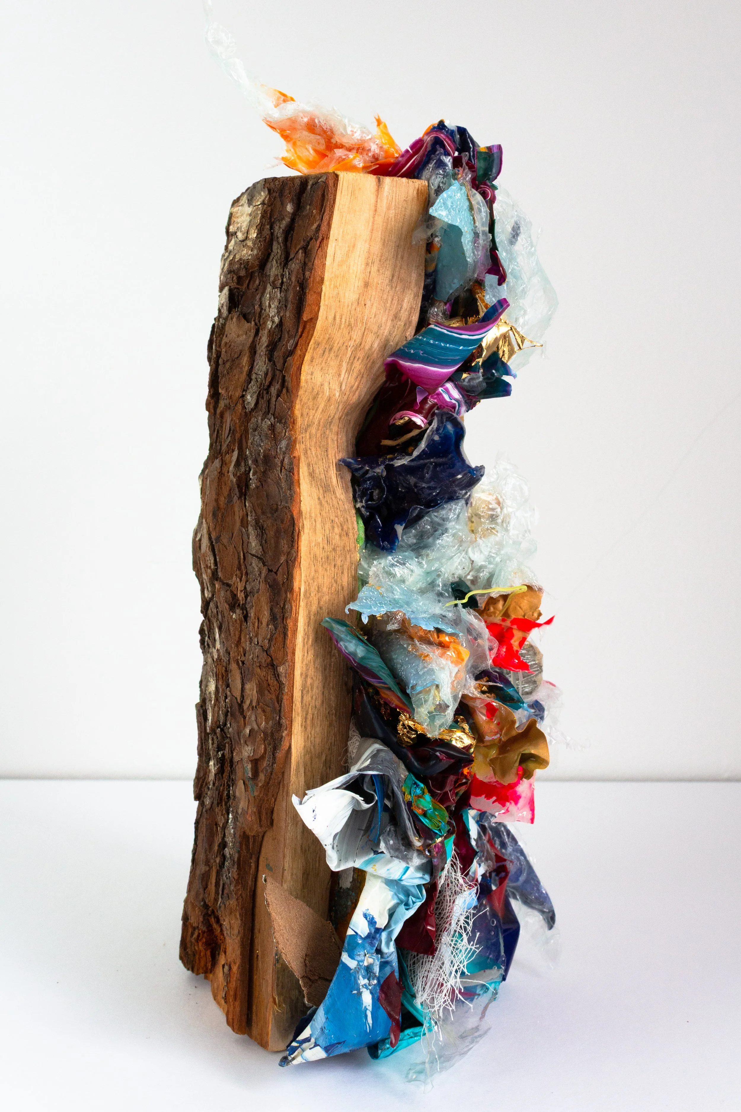 Redemption I: Annihilation 

 Dried wood log with acrylic paint and mediums (plastic waste)
25 x 16 x 15 cm (approx.)