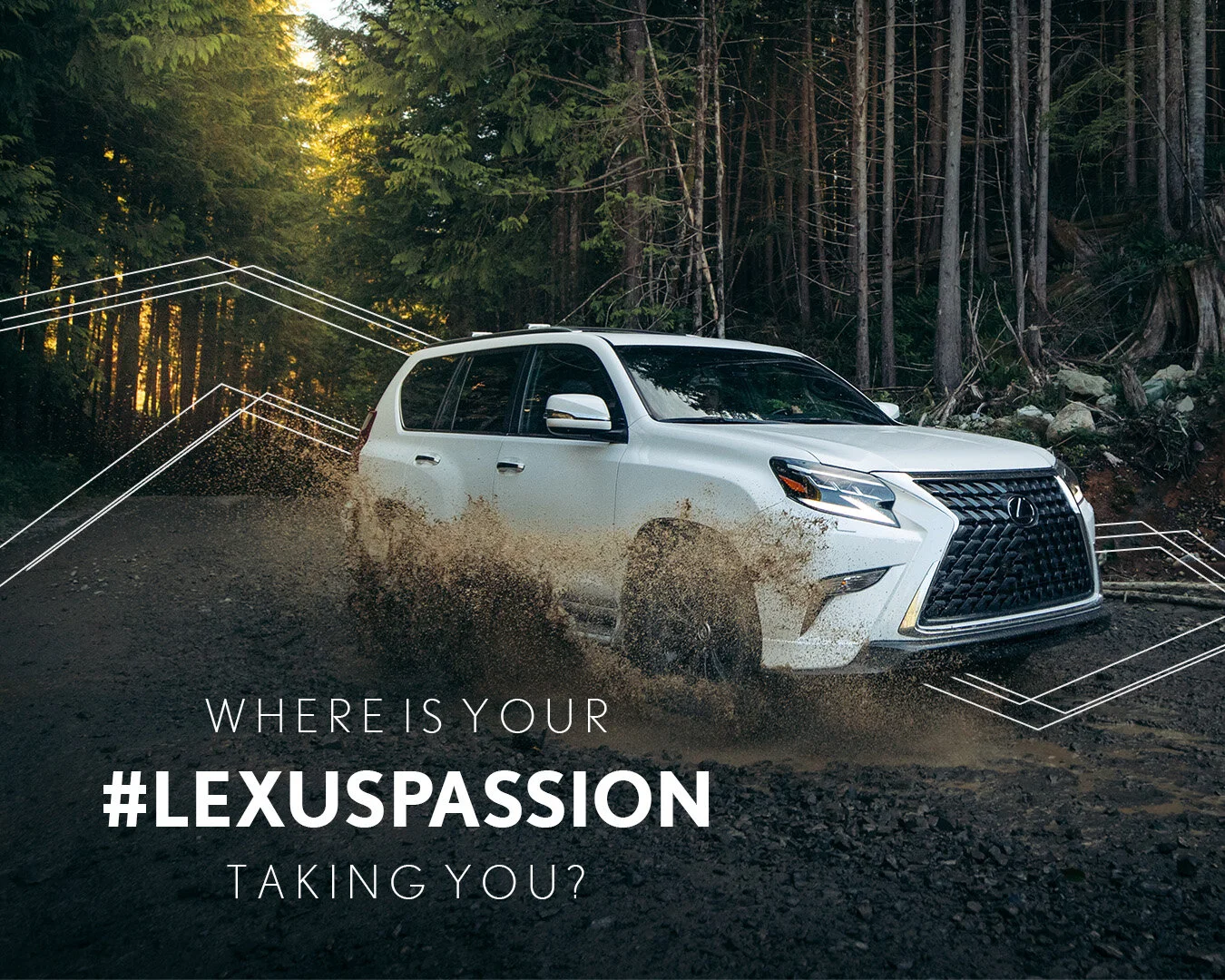 LEXUS_PRIDE copy.jpg
