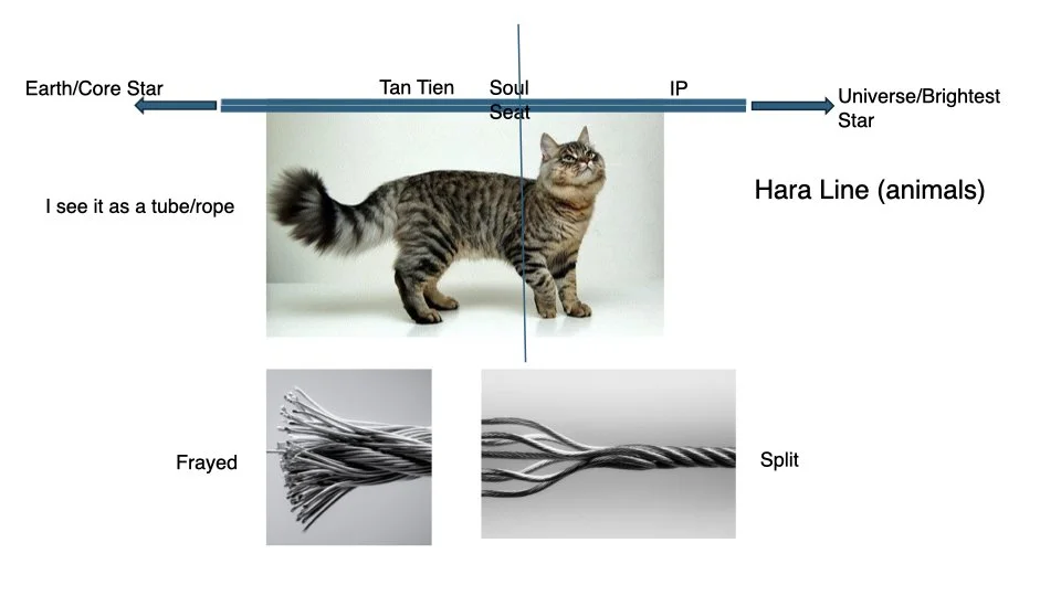 Community Panel 2026.002.jpeg