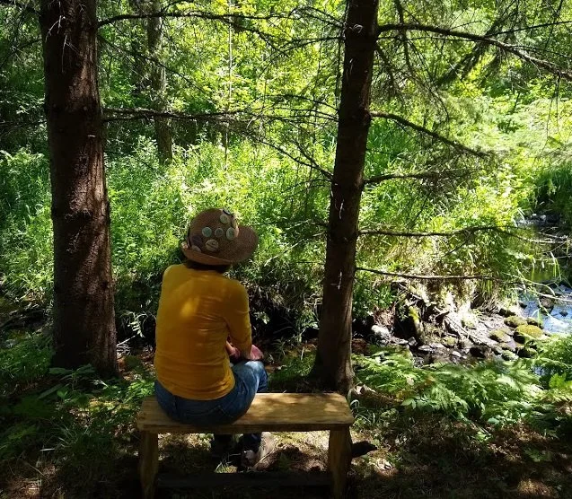 bench on Twin Creek Trail.jpg