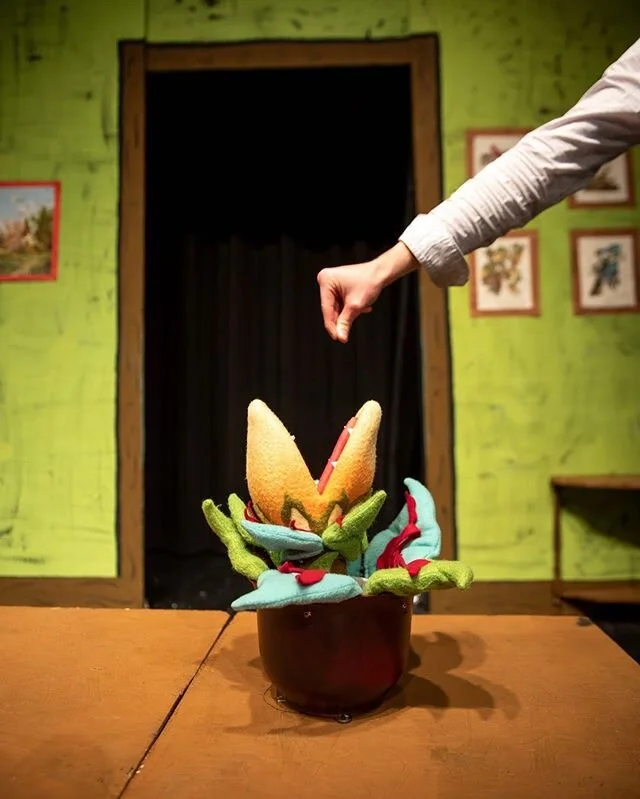 Biiiiig mistake 🤦🏻&zwj;♂️ #dontfeedtheplants
📸: @jasonrayphotography