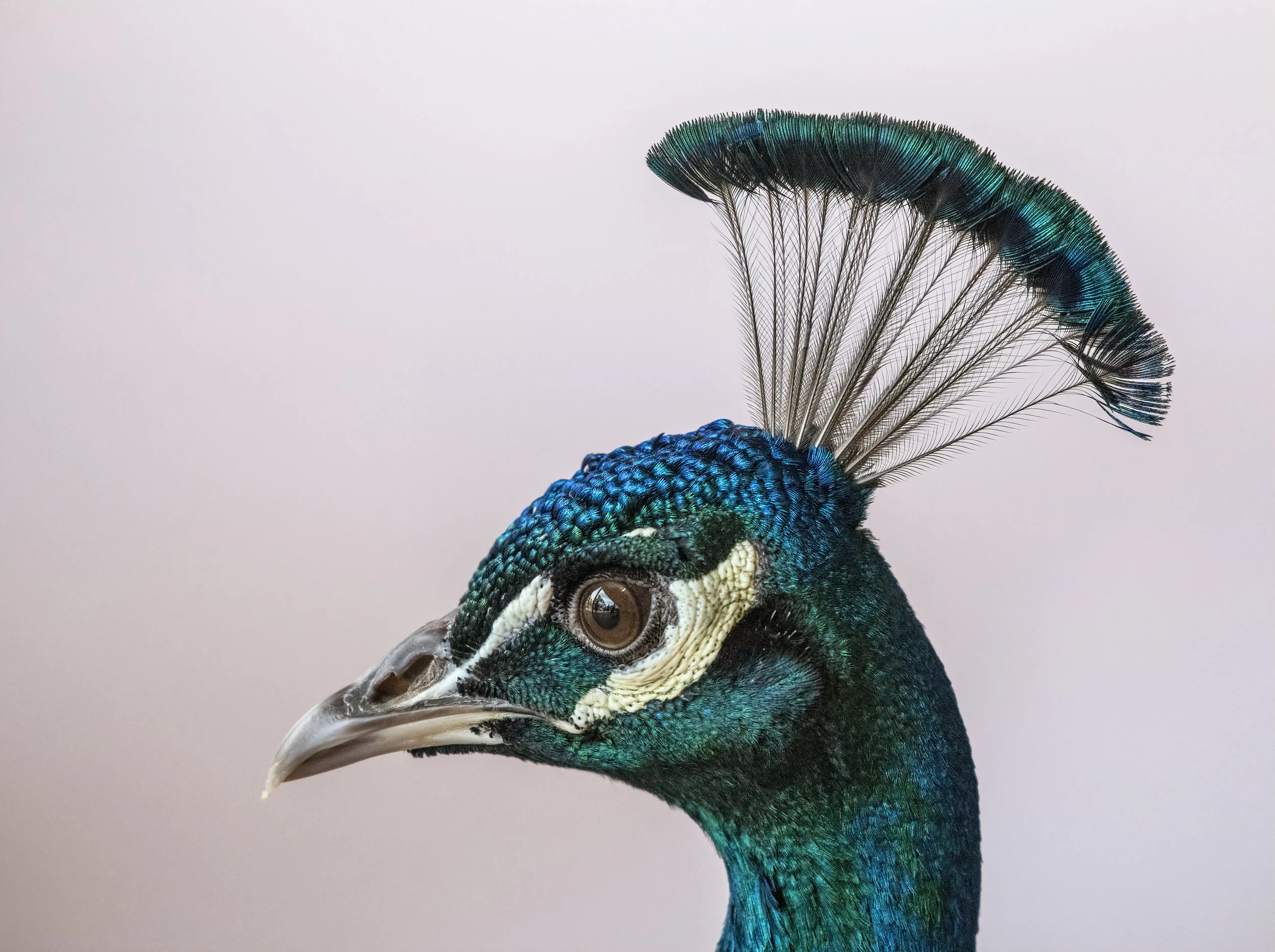 3 Types of Cannabis That Can Make You Feel More Confident