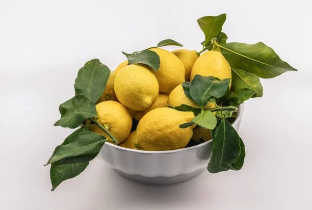 Best Terpenes for Anxiety