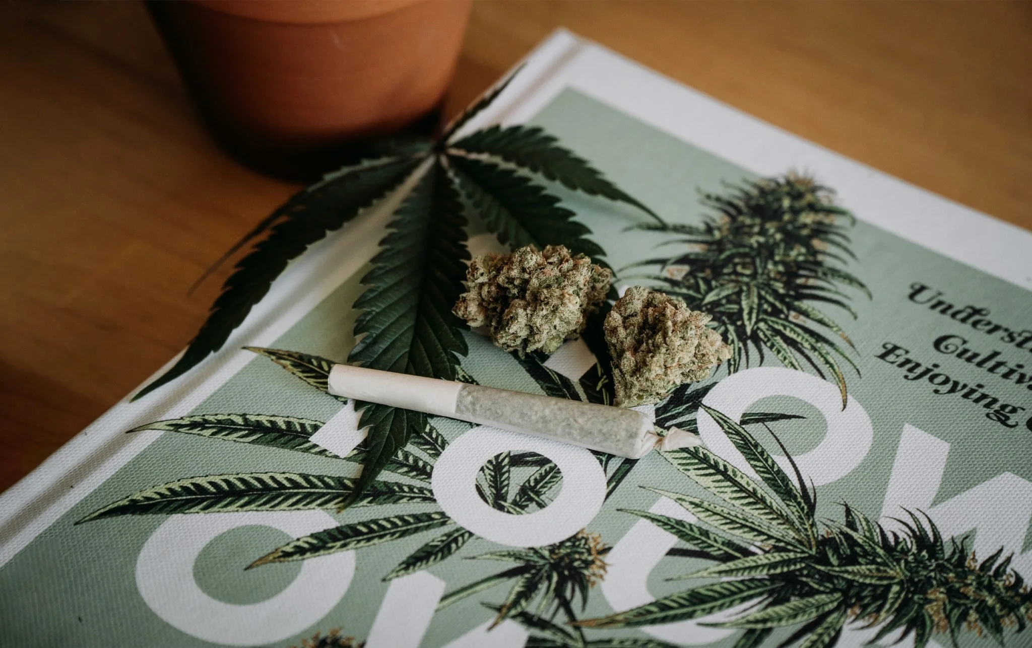 How to Lower your Cannabis Tolerance