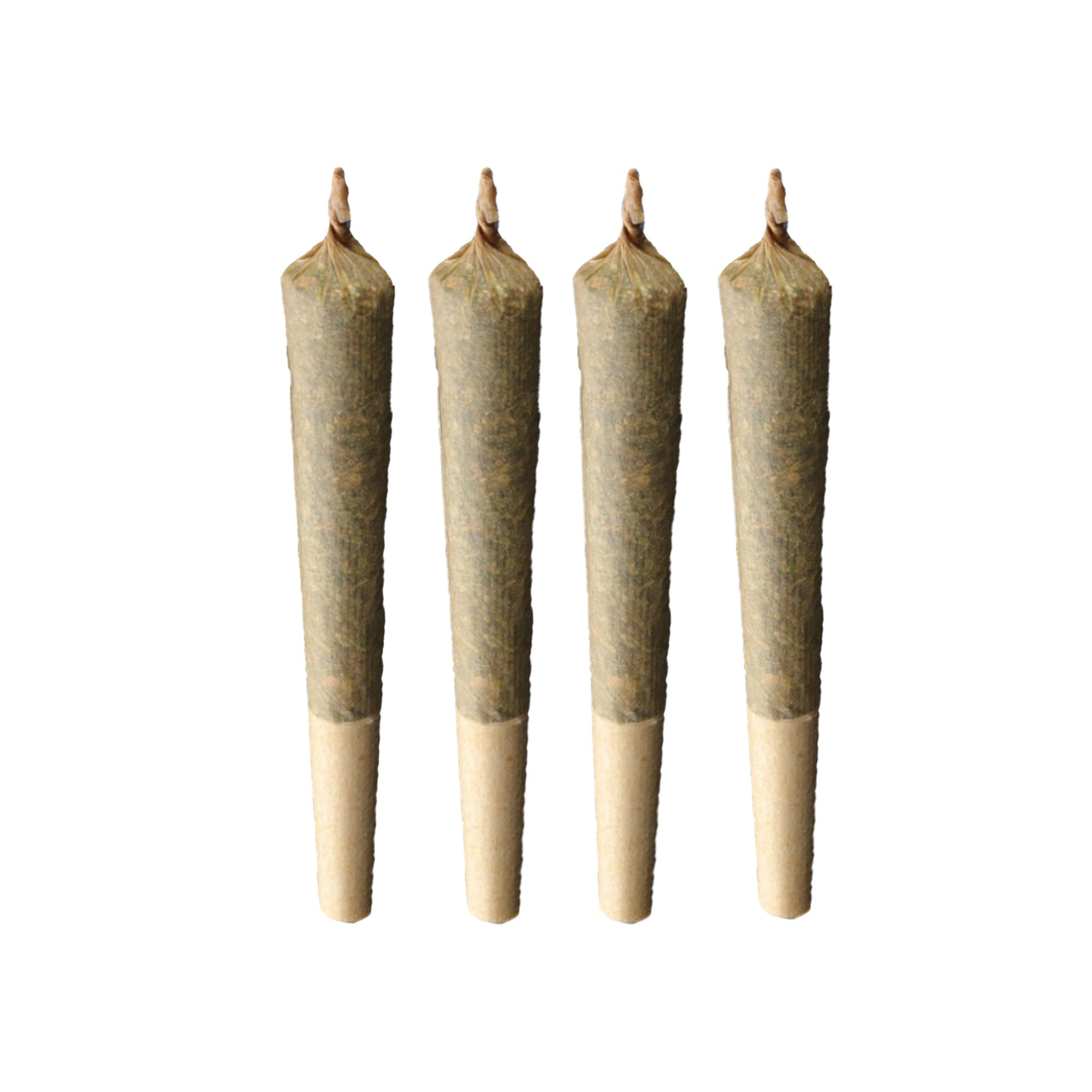 4 pre-rolls.jpg