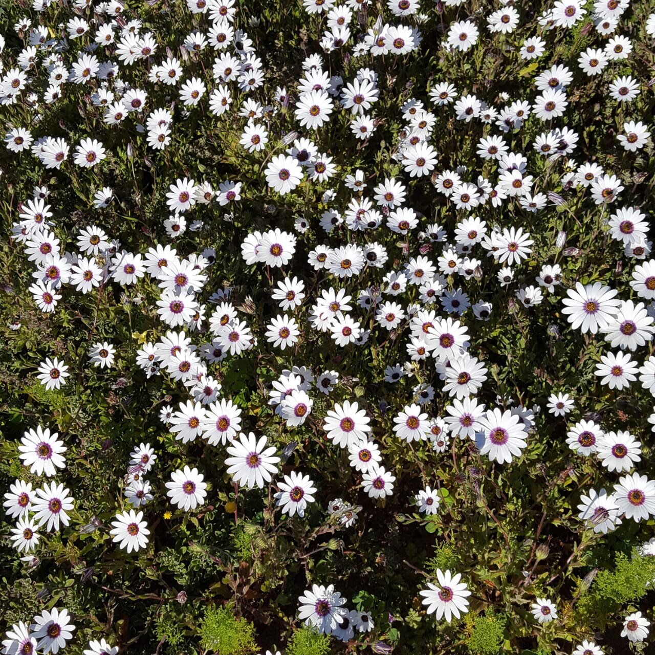 What August taught me