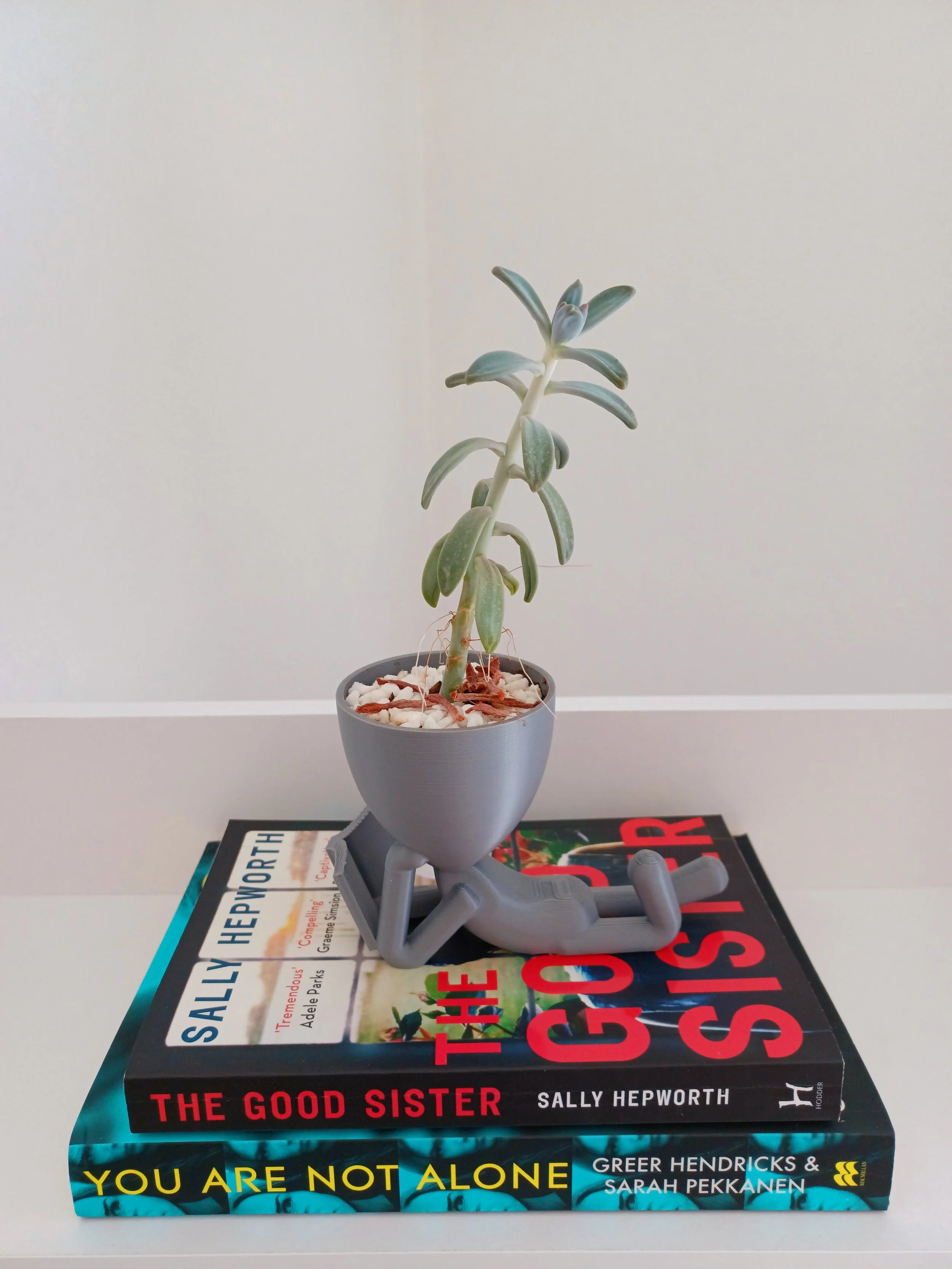 What I read in February 2022