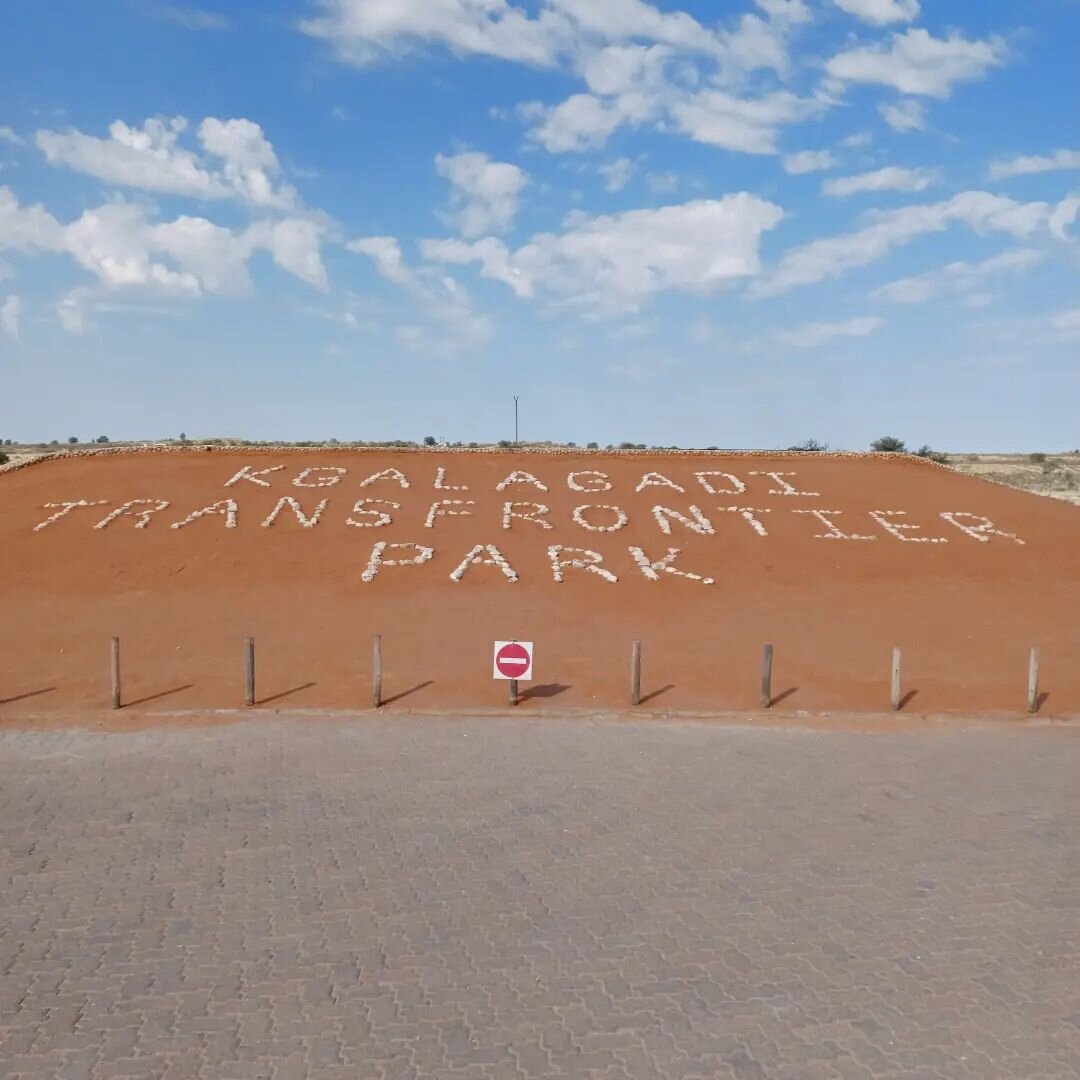 Days 2 and 3 adventuring in Kgalagadi. In love with being back in nature with hubby. Spent too much time postponing holidays during the pandemic. First time in this beautiful place and yet it feels like coming home.

#kgalagadi #kgalagaditransfrontie