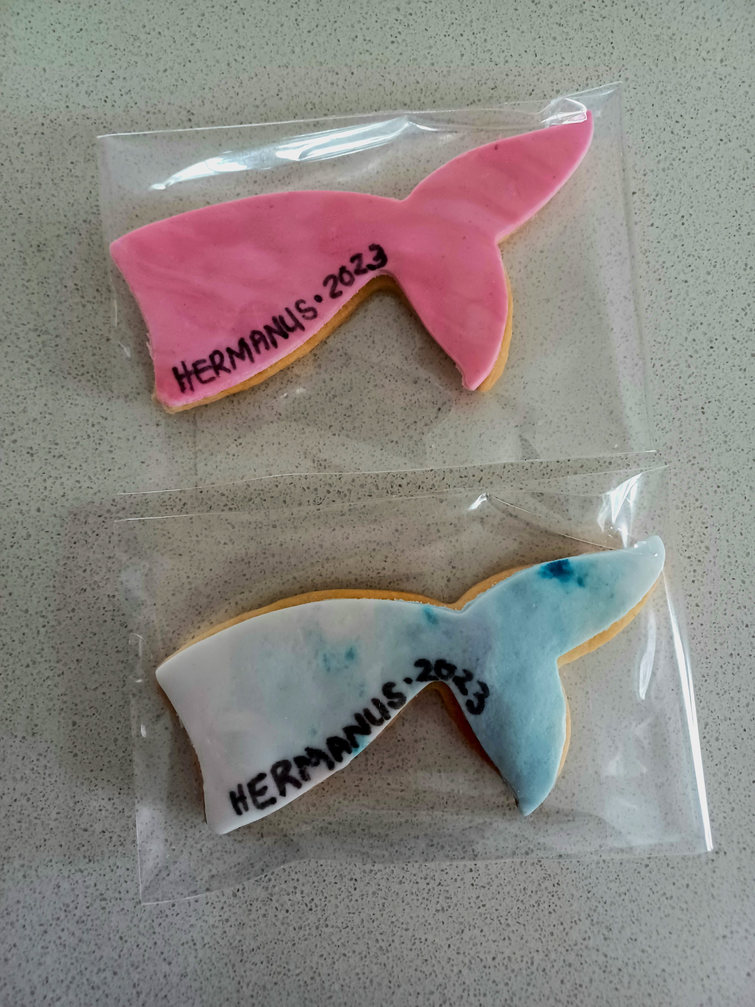 Biscuits from Hermanus.jpg