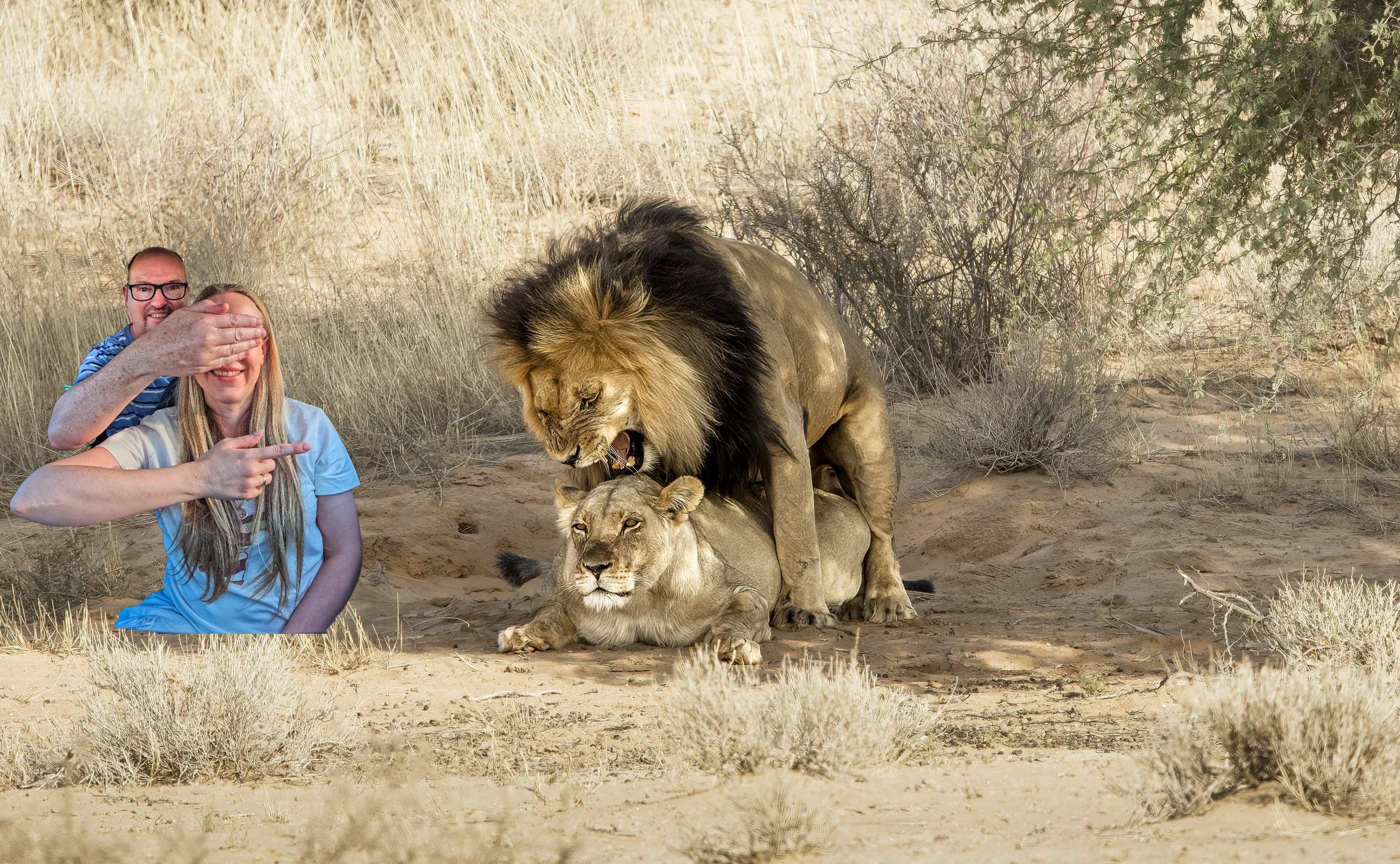 Our new YouTube channel