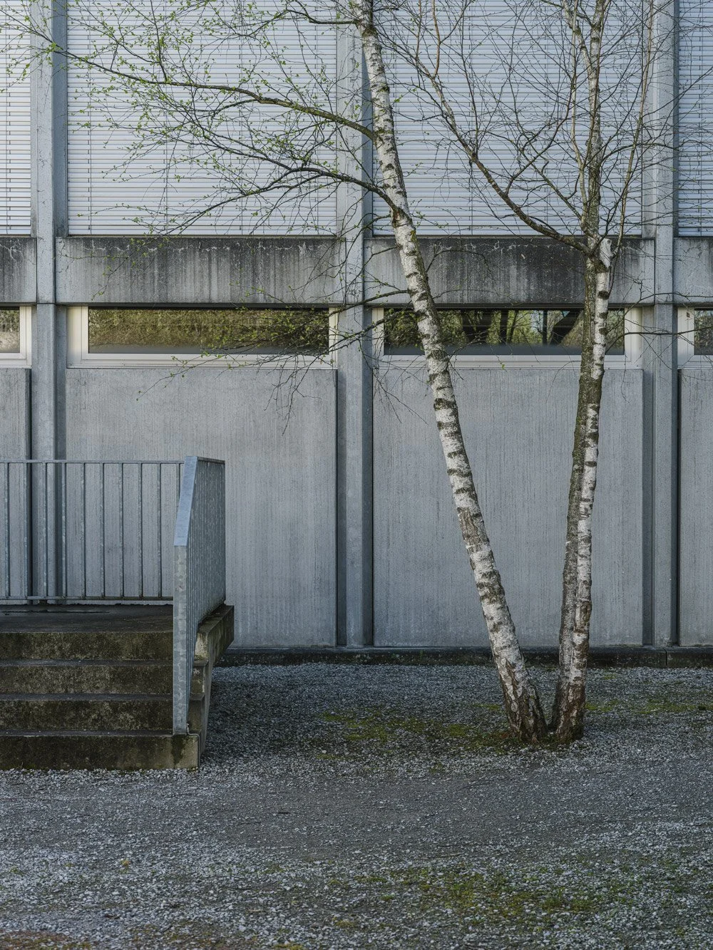 Astrom_Primarschule_Im_Birch_Zürich_260406_GFX0773.jpg