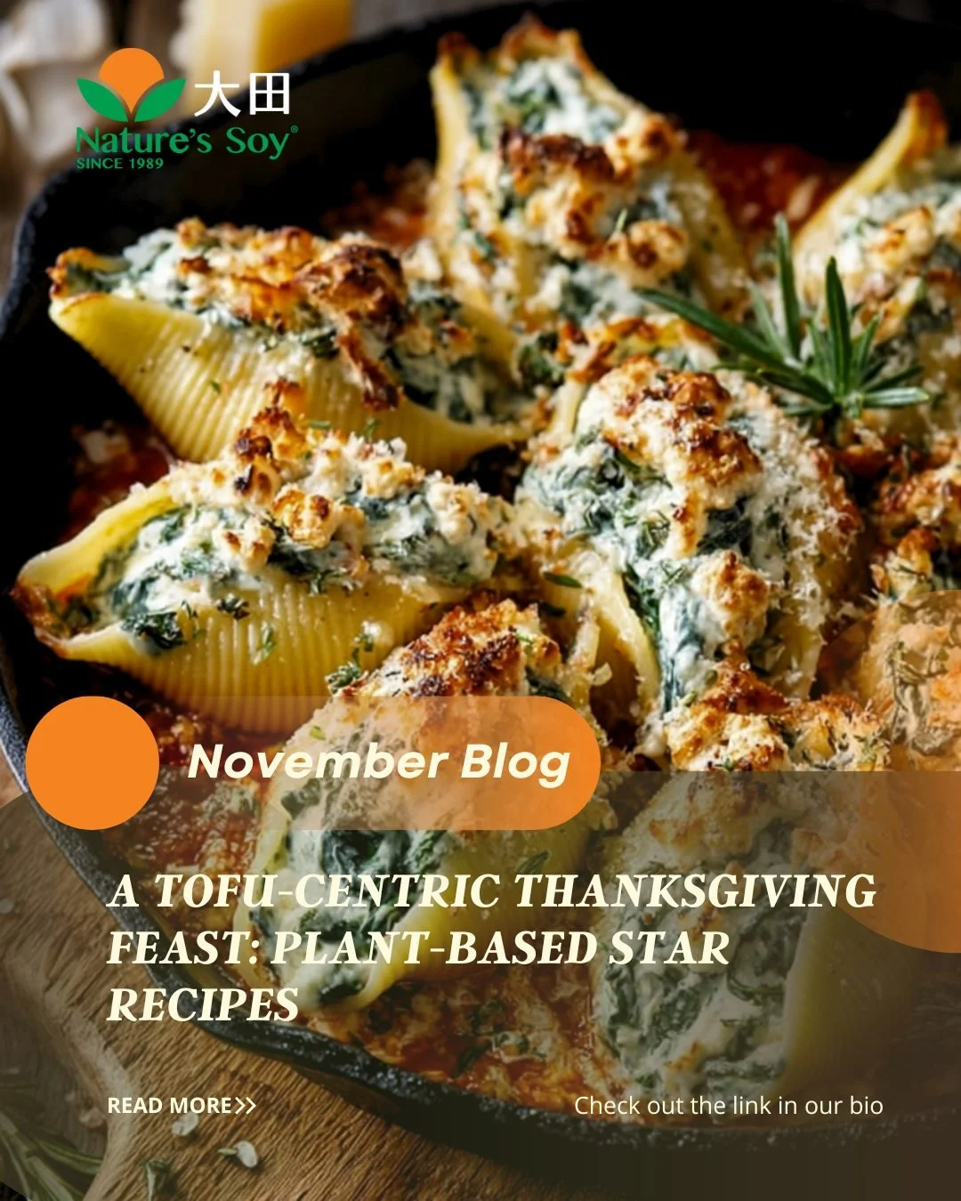 Check out our November plant-based star for your holiday table! Link in bio to read our new blog post! 

#naturessoy #SoyfulLiving #ThanksgivingRecipes #PlantBasedThanksgiving #TofuRecipes #VeganThanksgiving #HolidayFeast #NovemberBlog
