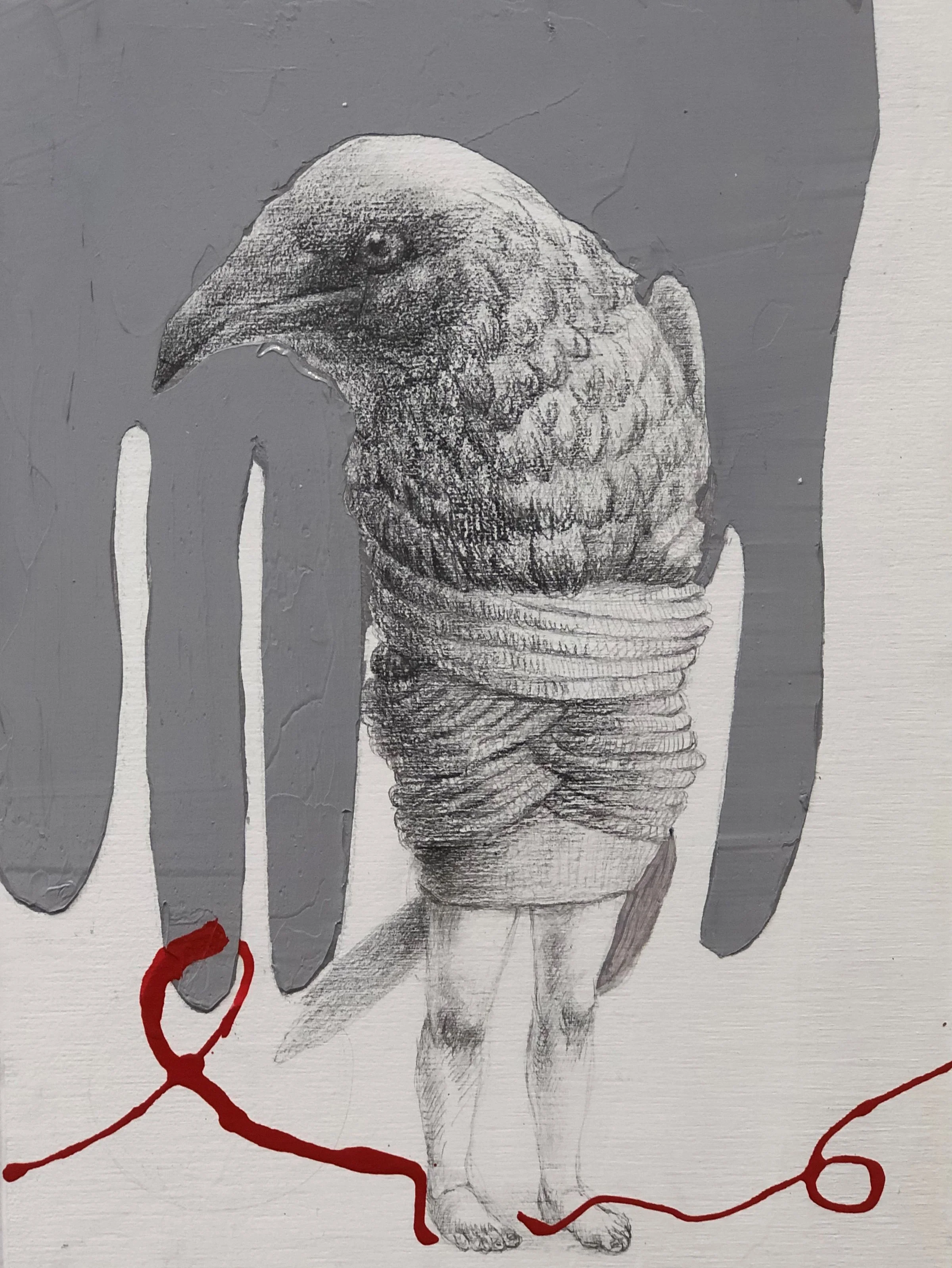 crow.jpg