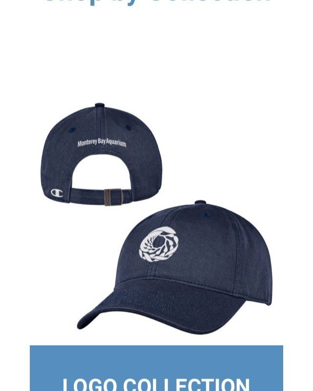 very excited for the launch of the new retail website of the Monterey Bay Aquarium.  proud to have the Champion Kelp circle logo cap be the lead item of the featured Logo Collection. visit their store and help support the best aquarium in the country