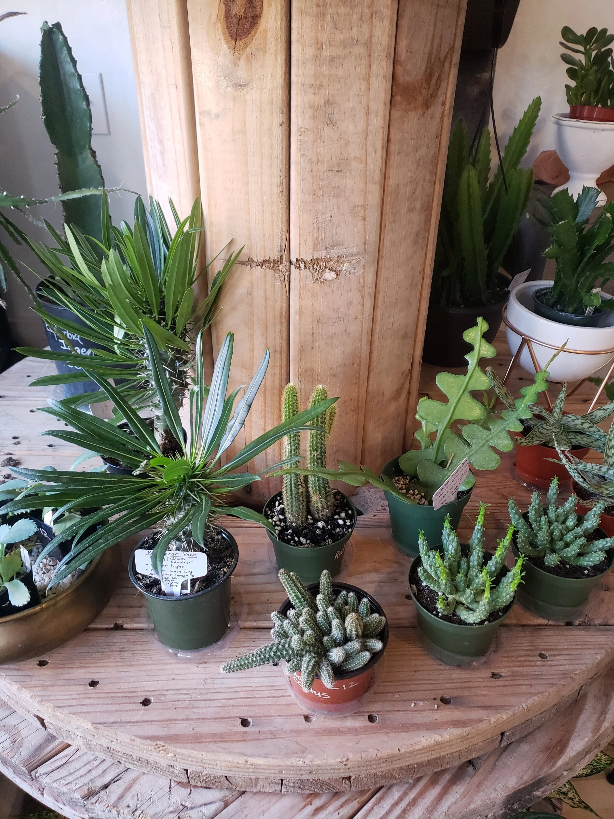 20191116_123617.jpg