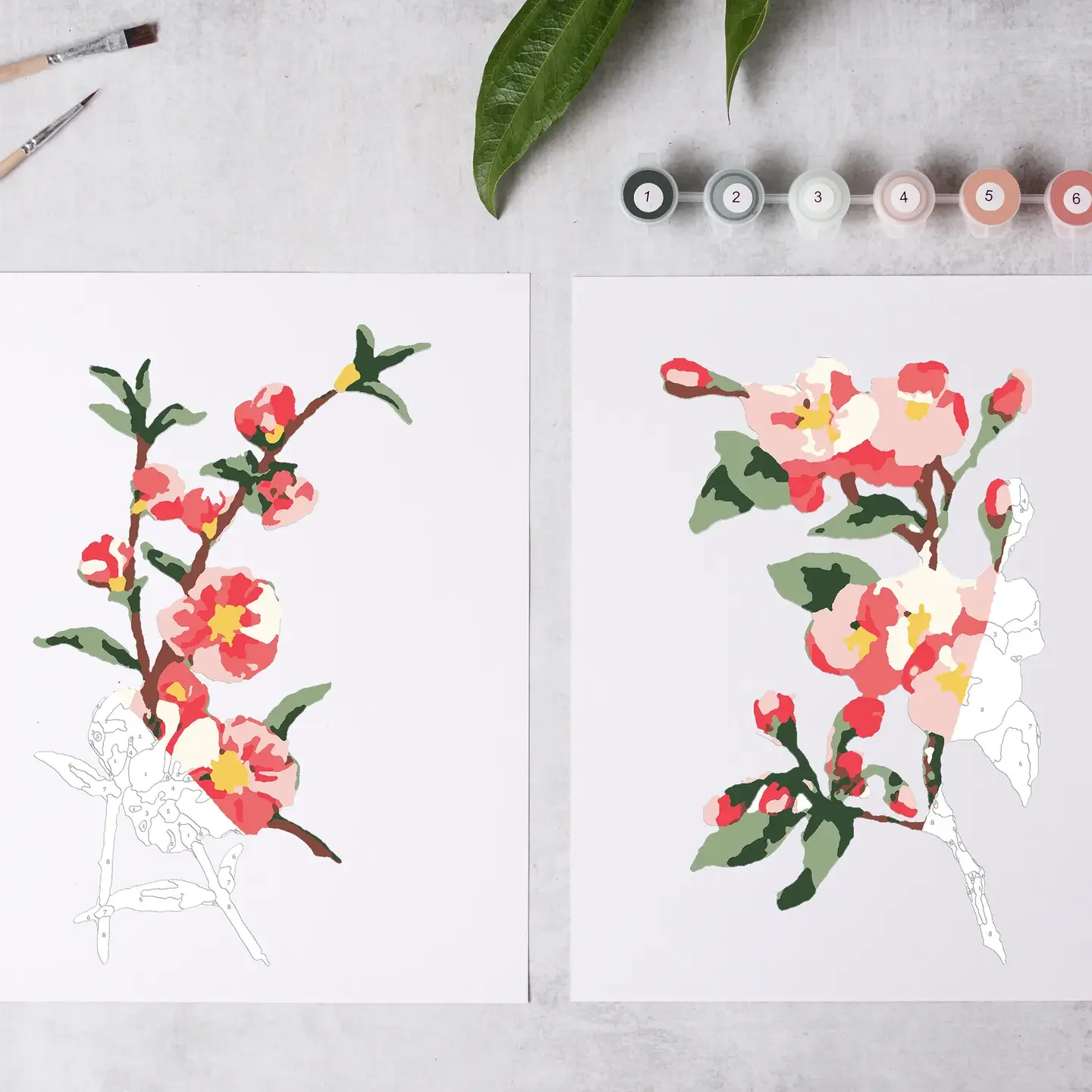 Paint By Numbers -  Cherry Blossom