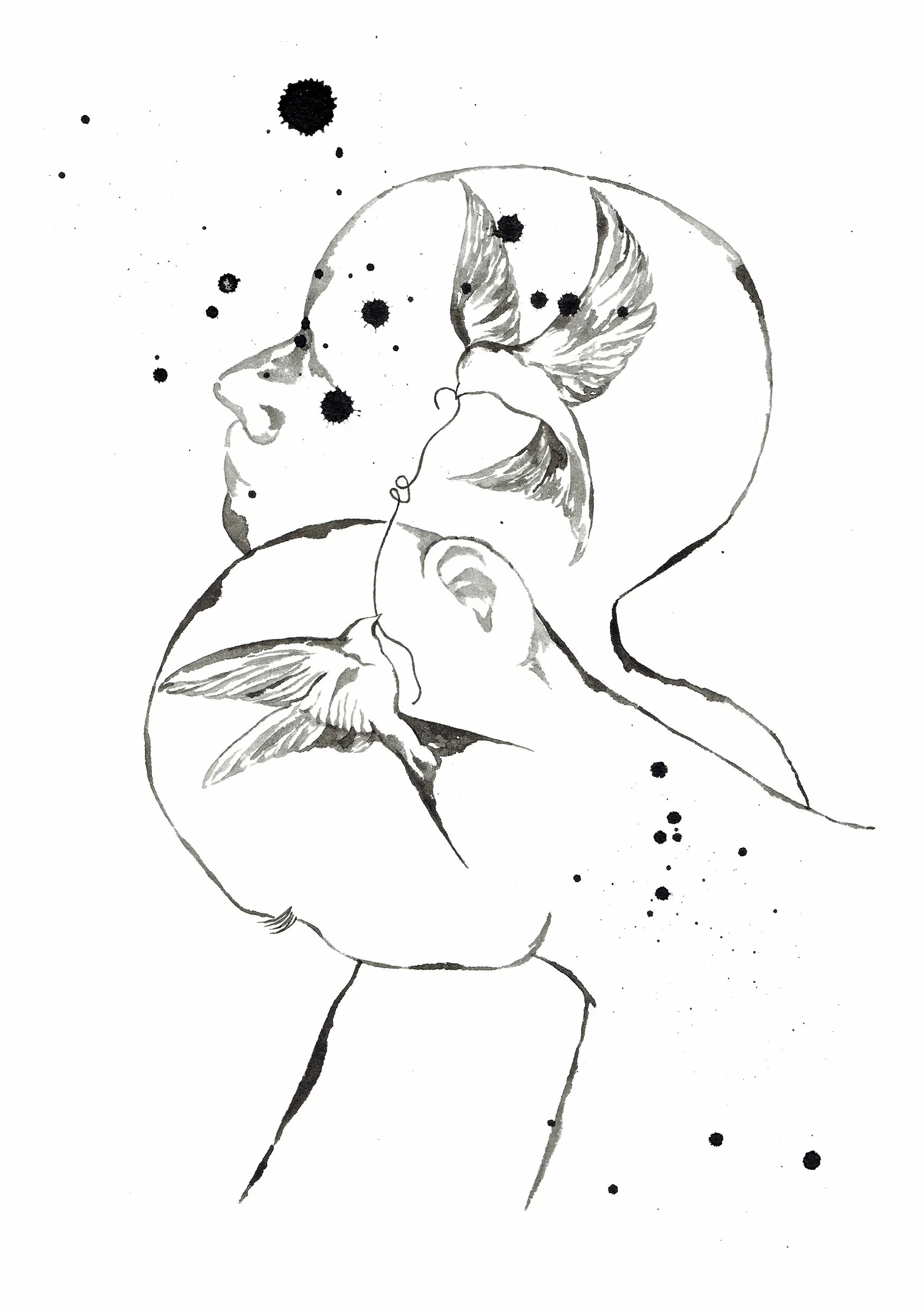 SONGBIRDS