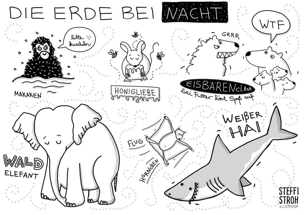 TierebeiNacht.jpg