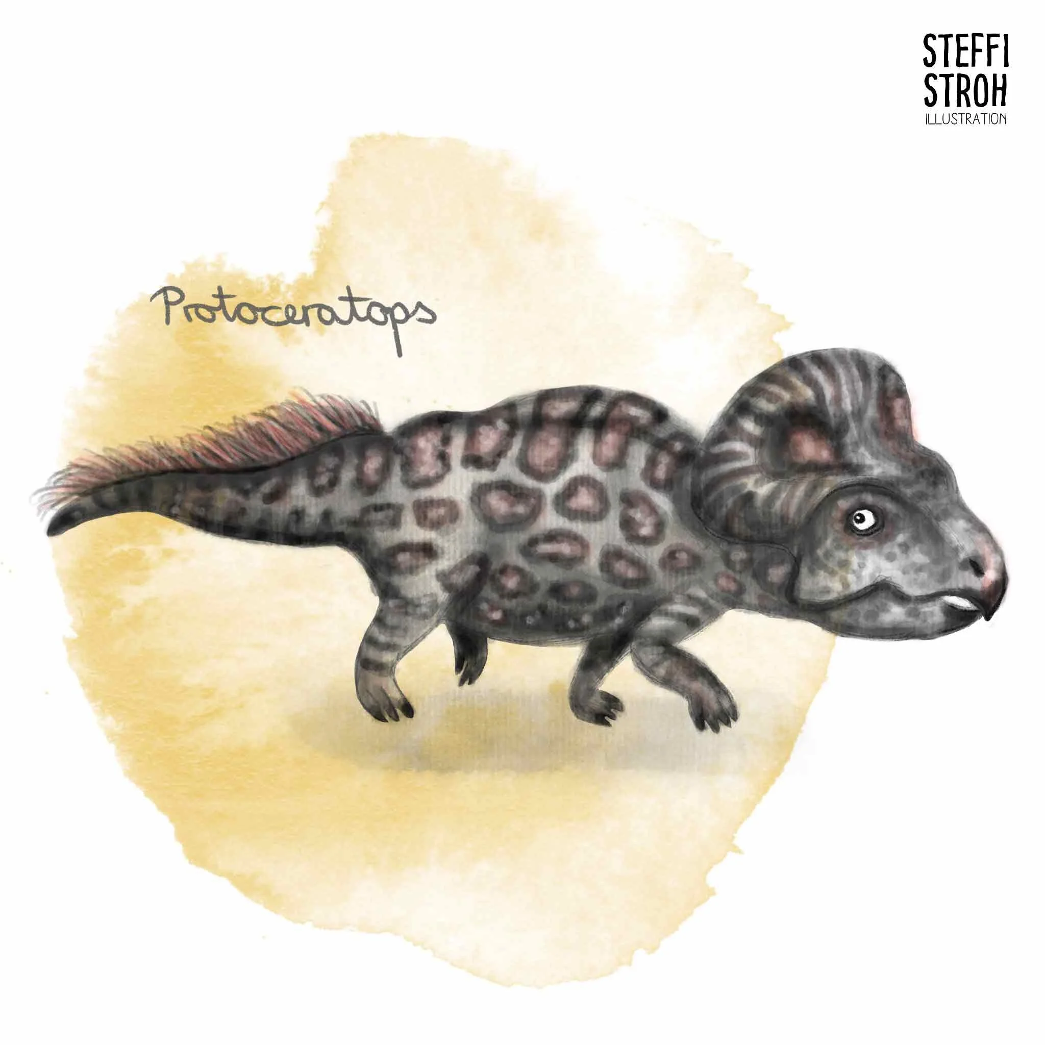 Steffi-Stroh_Protoceratops.jpg