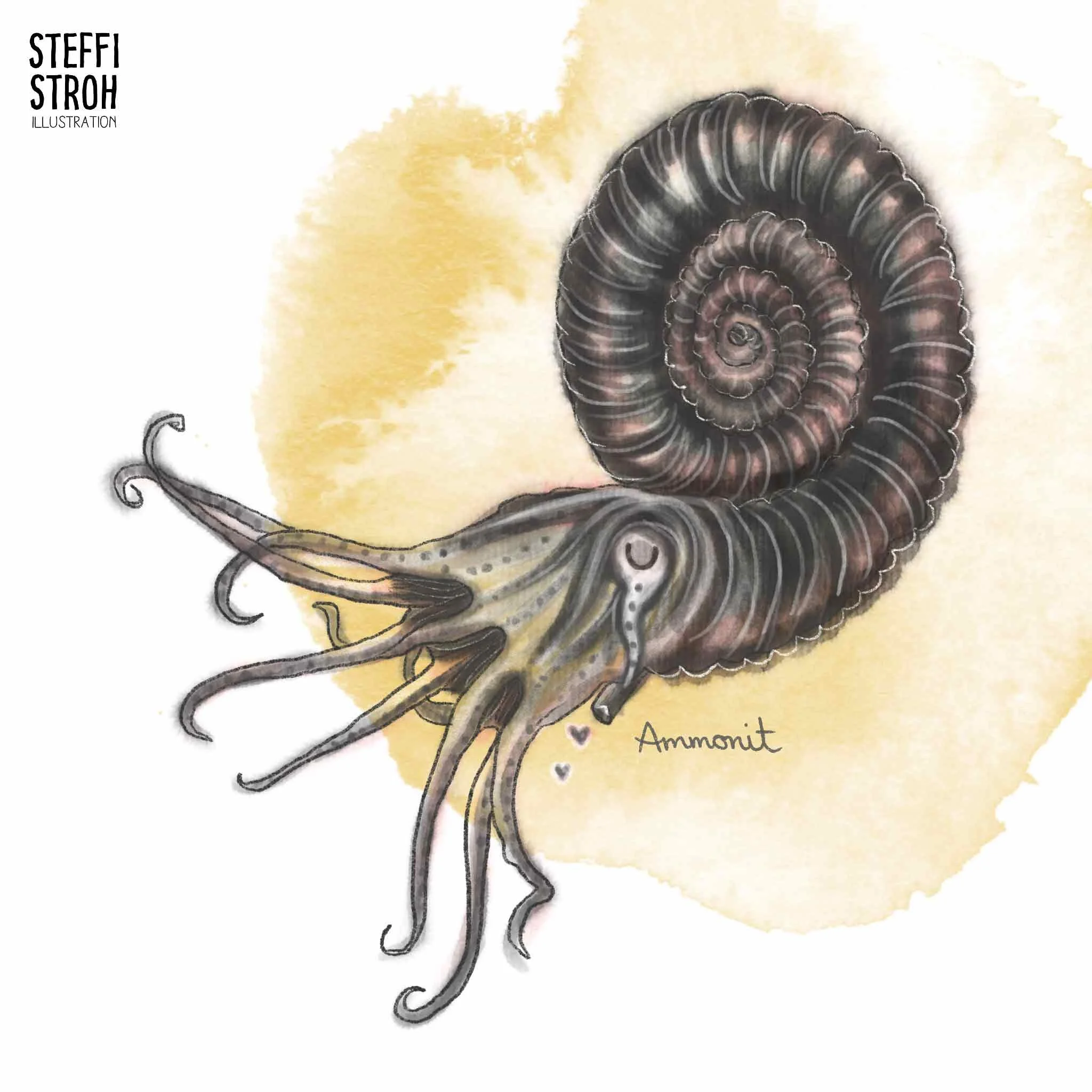 Steffi-Stroh_Ammonit.jpg