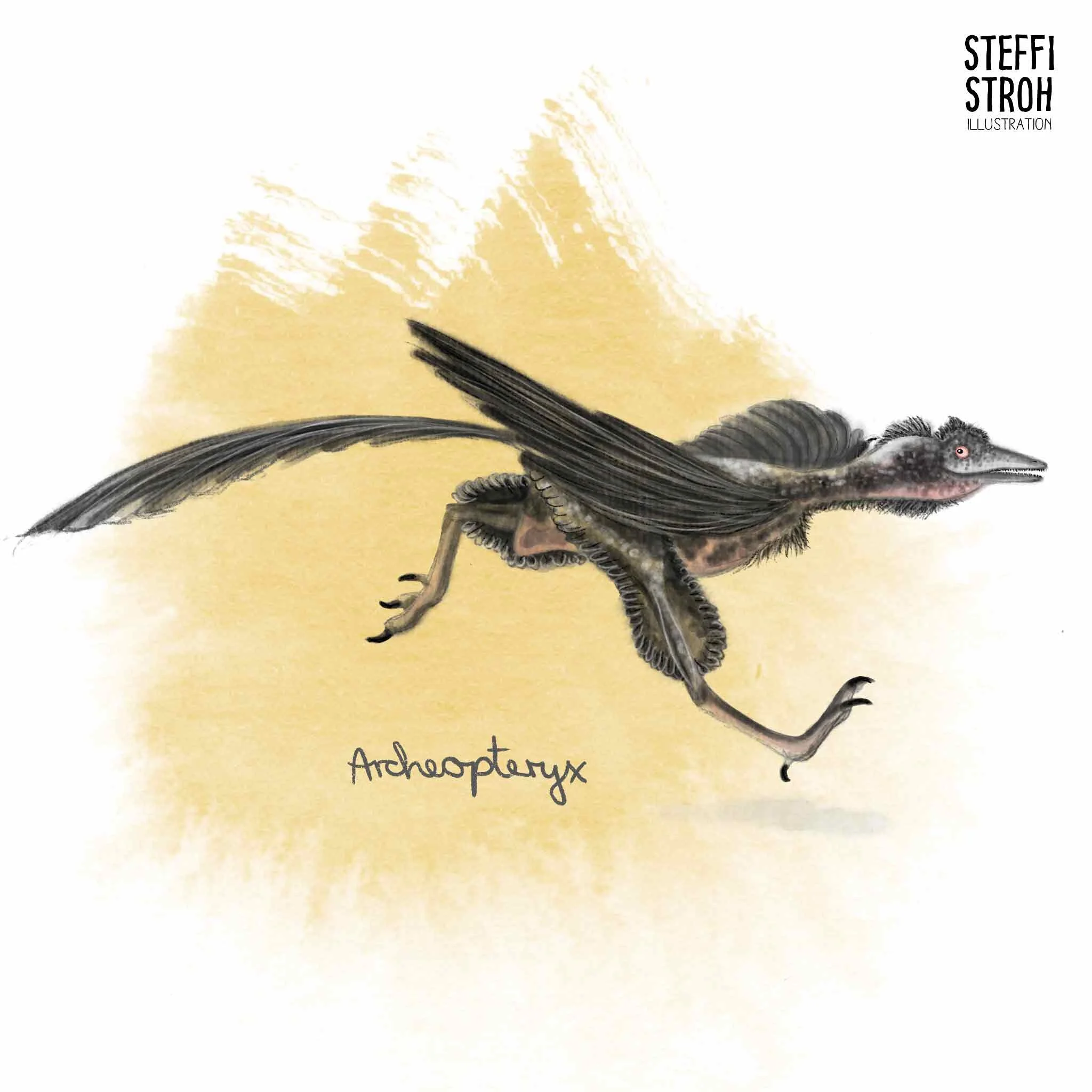 Steffi-Stroh_Archeopteryx.jpg