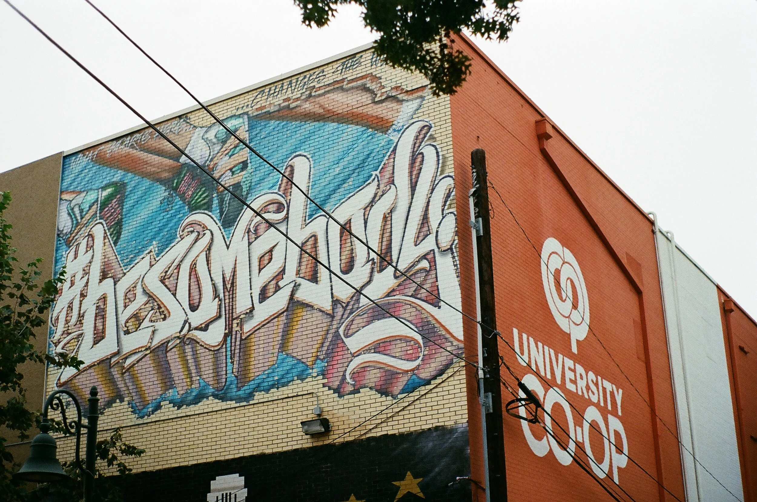45850028.JPG