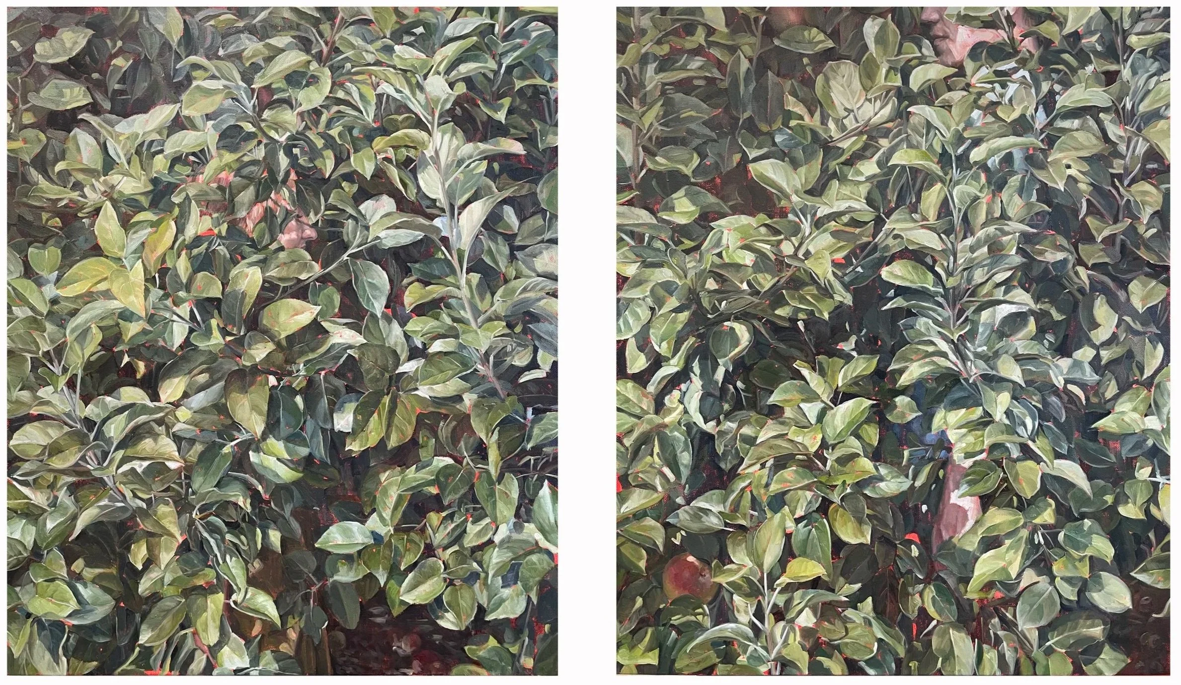 Looking Right at You