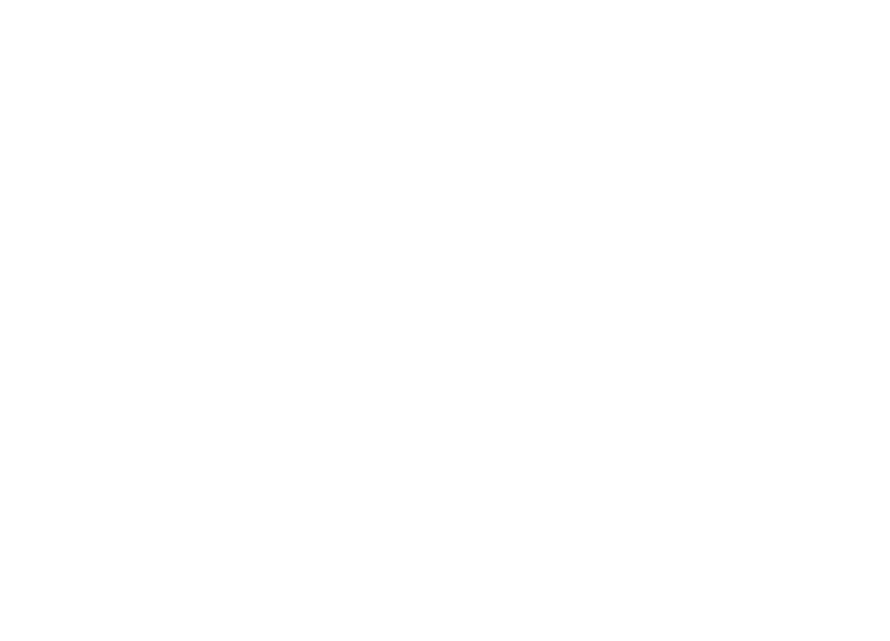 tiktok.png