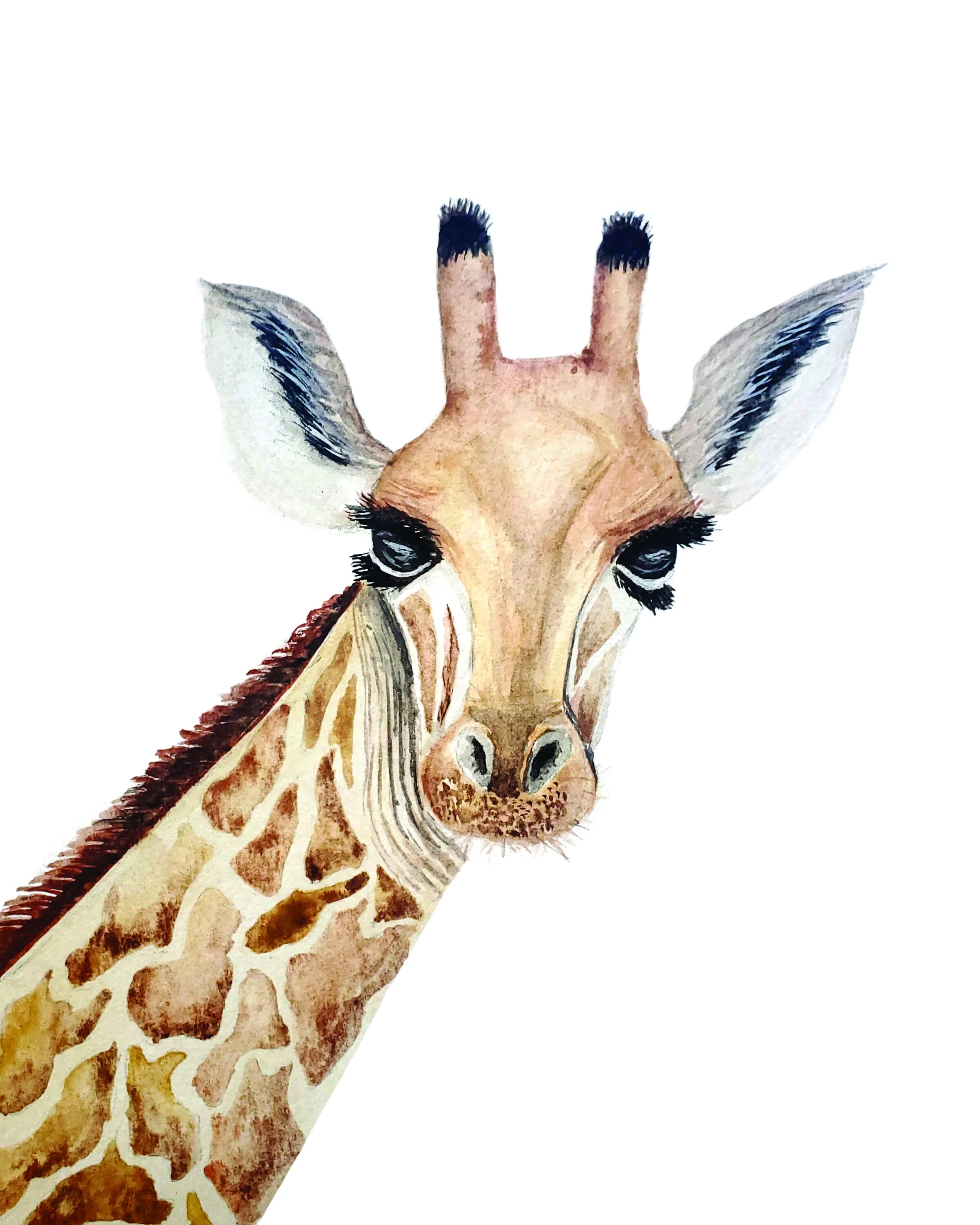 Giraffe jpgg.jpg