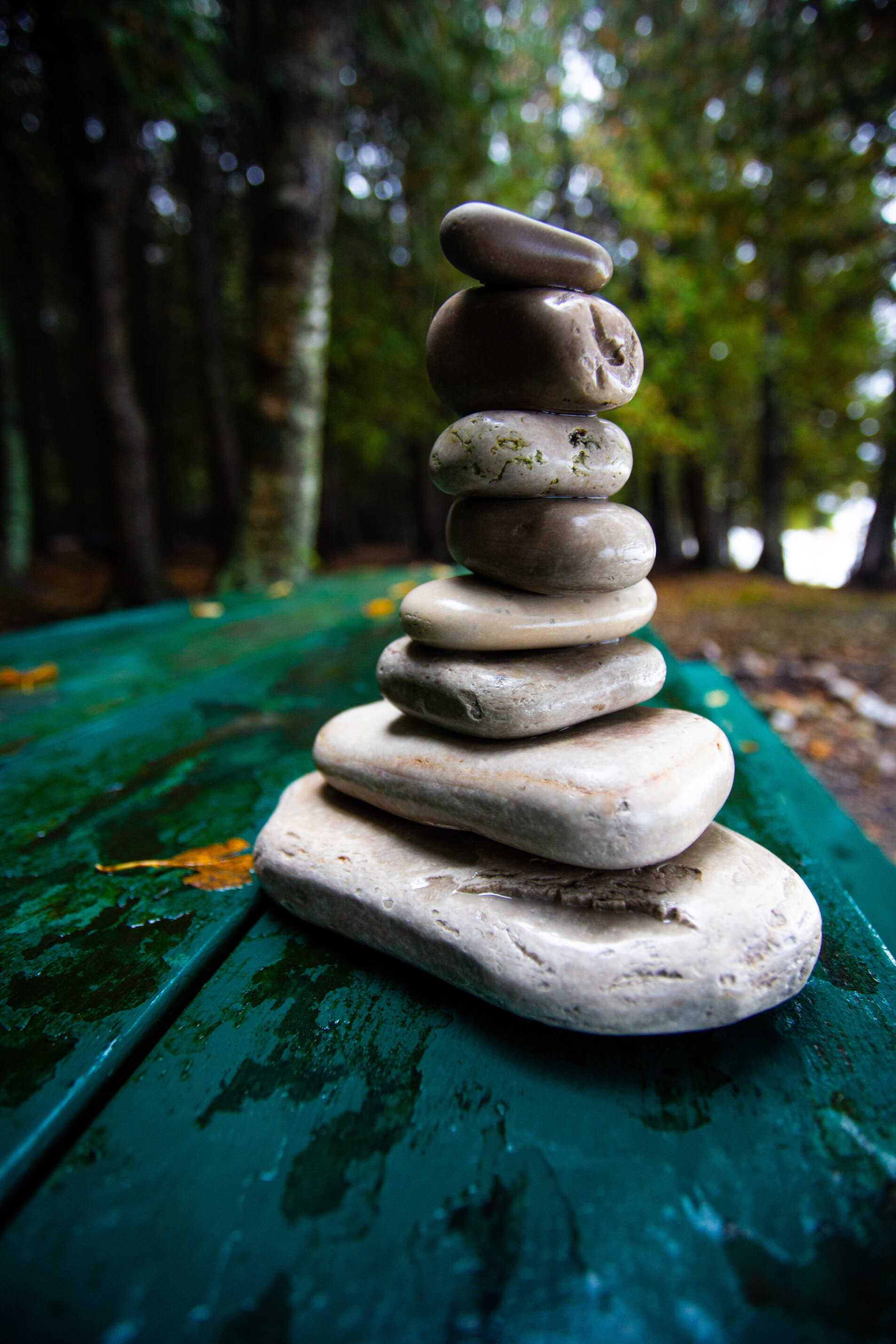 smooth stones stacked on a green table in forest