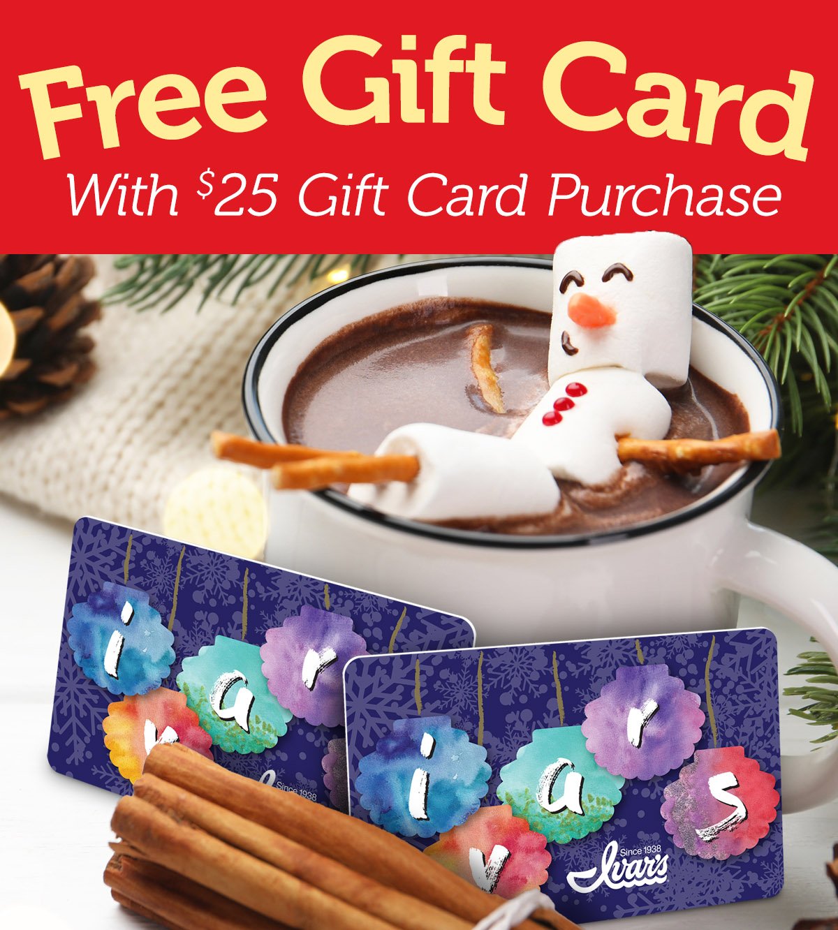 GiftCardPromo25-1200x1332.jpg