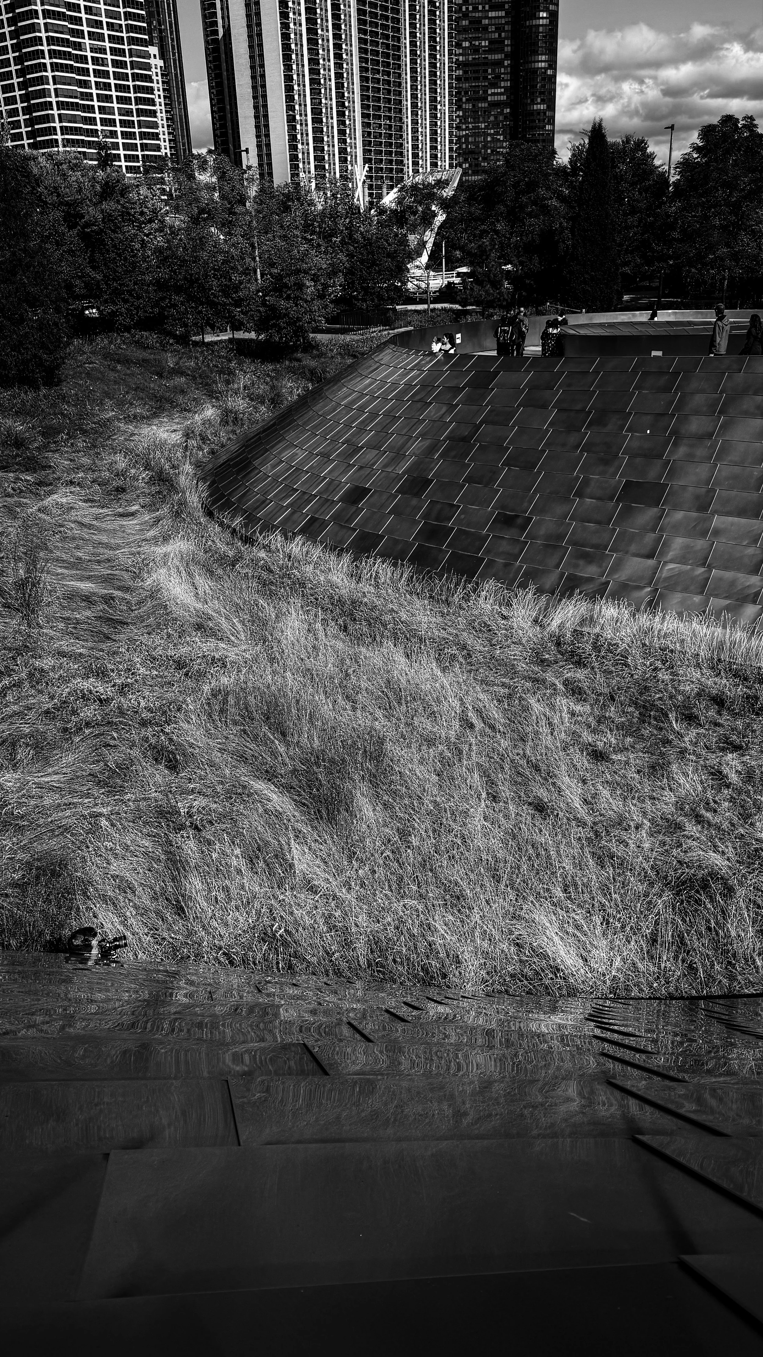 Black and white photo of an urban park with tall modern buildings in the background, a sloped roof structure, grassy area with tall grass, some trees, and a small group of people standing on what appears to be a viewing platform or walkway.