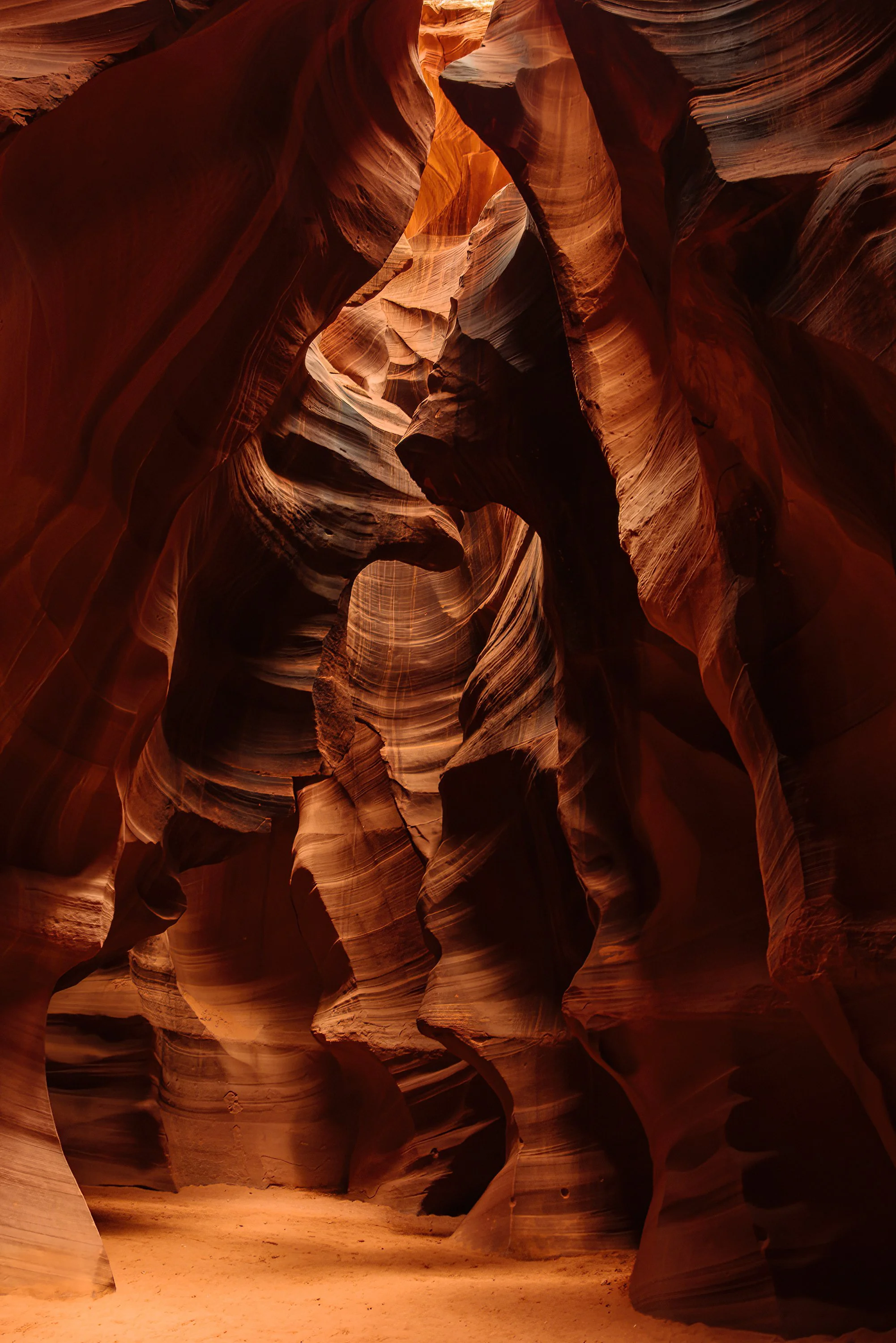 Narrow slot canyon with smooth, layered sandstone walls in shades of red and orange, illuminated by soft sunlight.