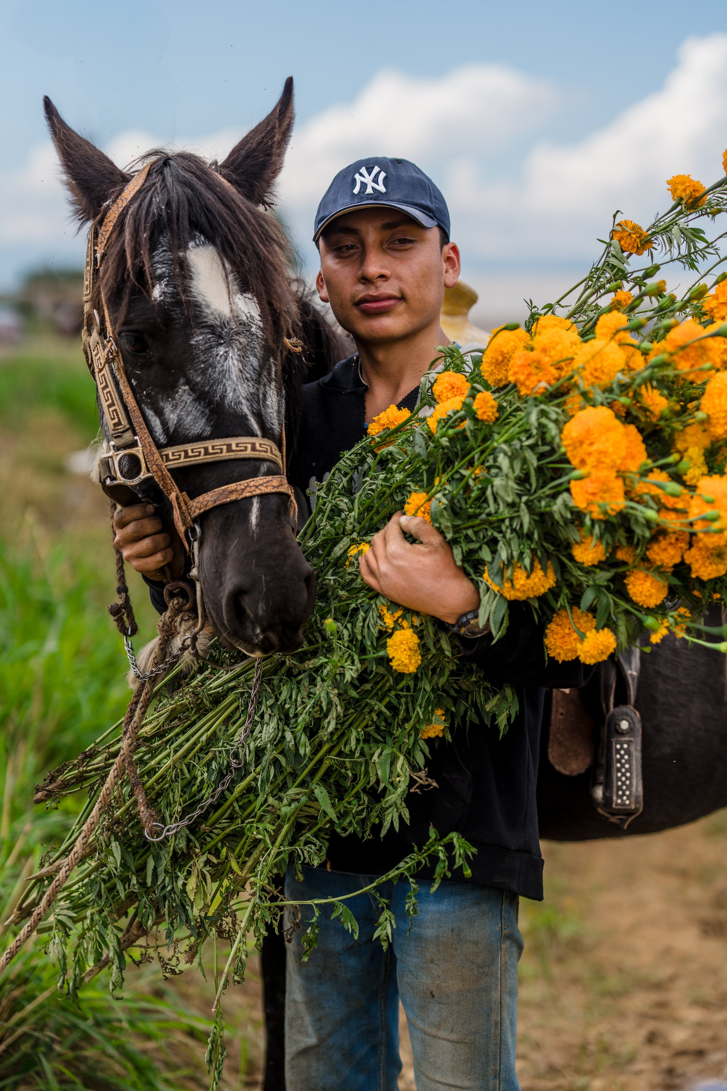 A young man wearing a dark hoodie and a New York Yankees cap holding a large bunch of yellow flowers beside a black and white horse in a green field.