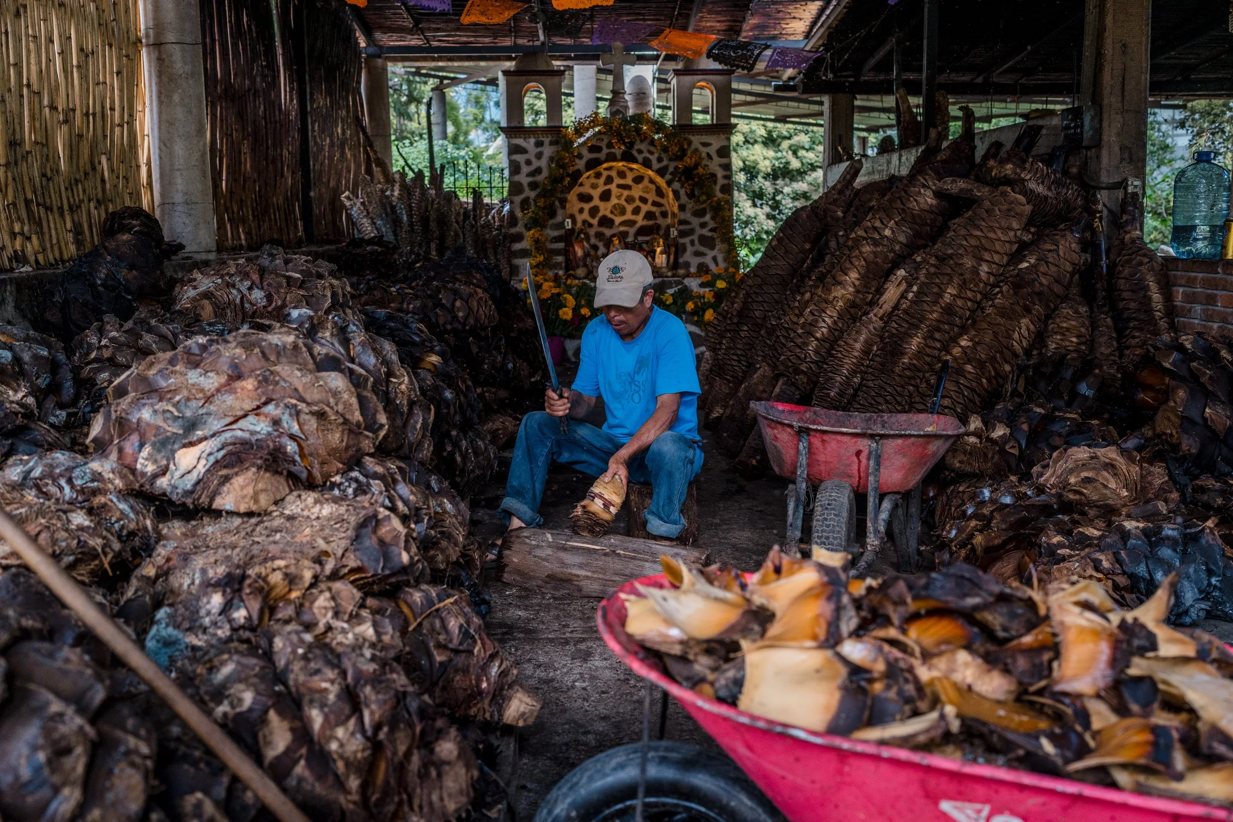 A man in a blue shirt and cap is sitting on a log, chopping firewood with an axe. He is surrounded by piles of charred wood and firewood in a sheltered outdoor area with wooden and bamboo walls. There is a red wheelbarrow filled with discarded shells