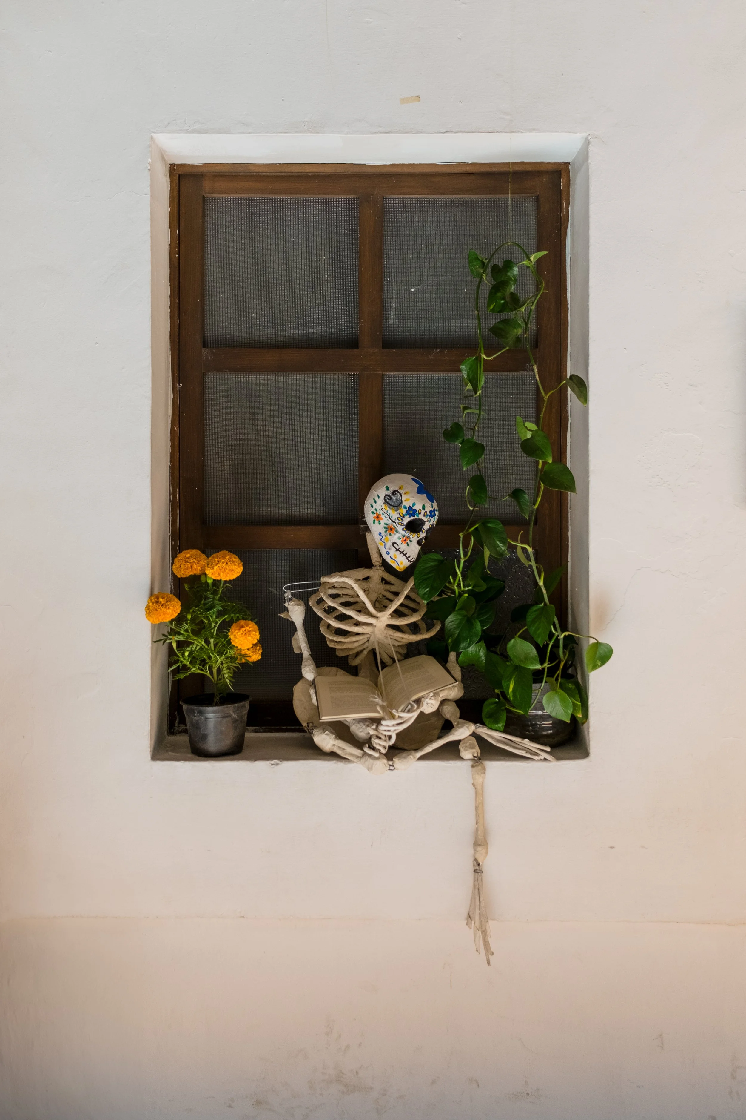 Decorative window shelf with a potted marigold plant, a skeleton holding an open book with a painted sugar skull face, and a tall leafy green plant.