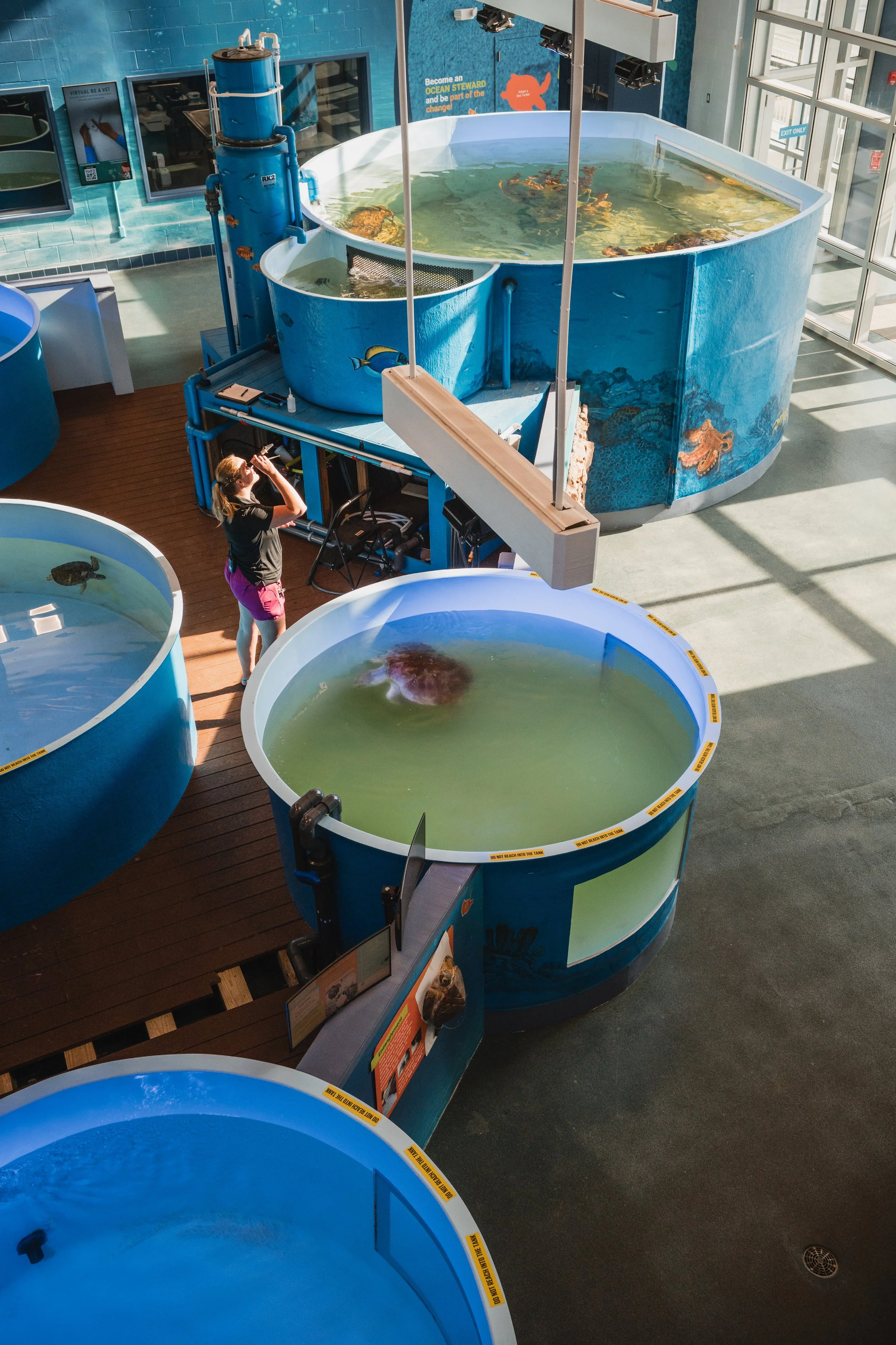 Indoor aquariums with various marine life exhibits and a female staff member standing near a large fish tank.