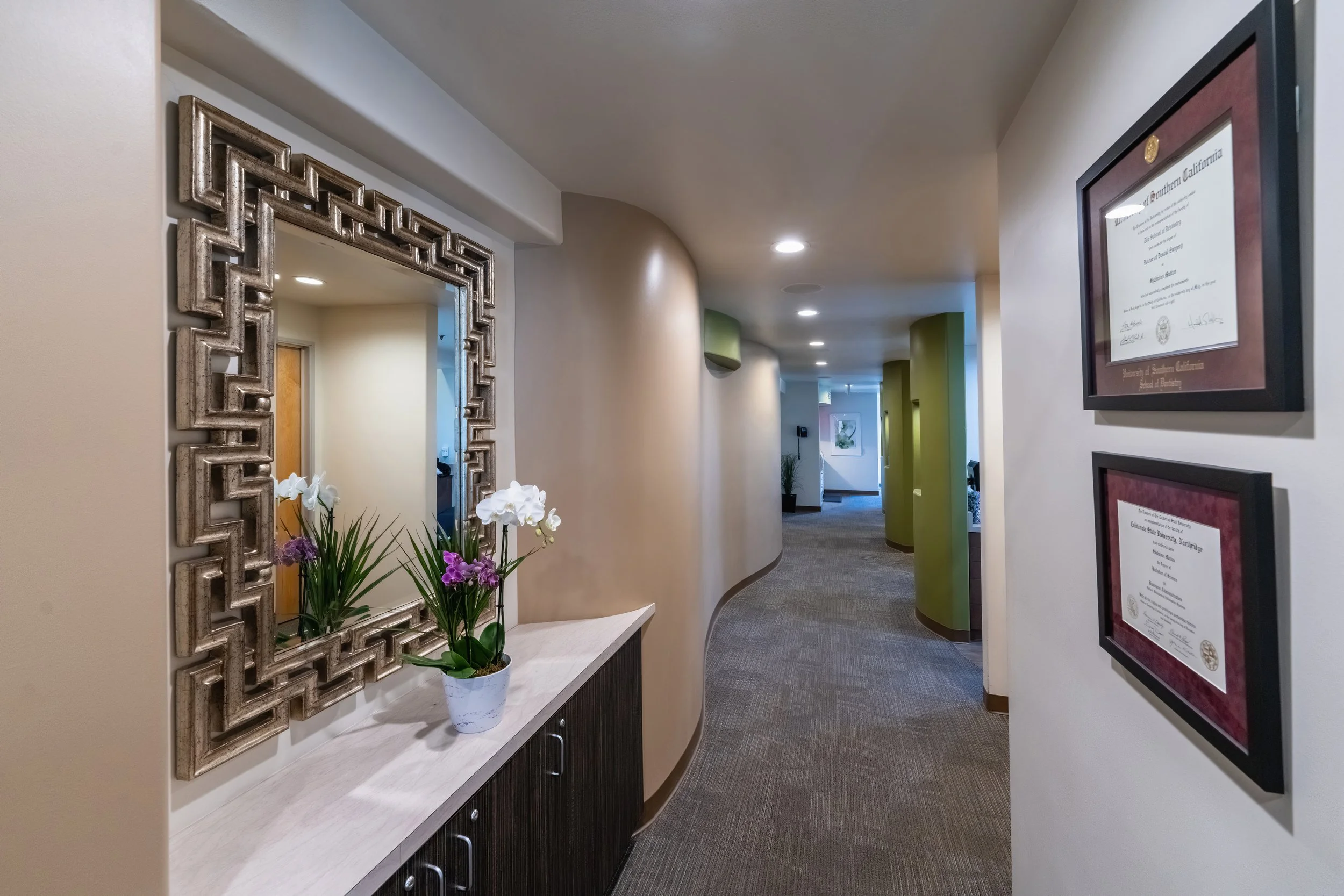 Office hallway with framed certificates on wall, large mirror with decorative frame, potted plants, and floral arrangement, with curved carpeted pathway and green columns.